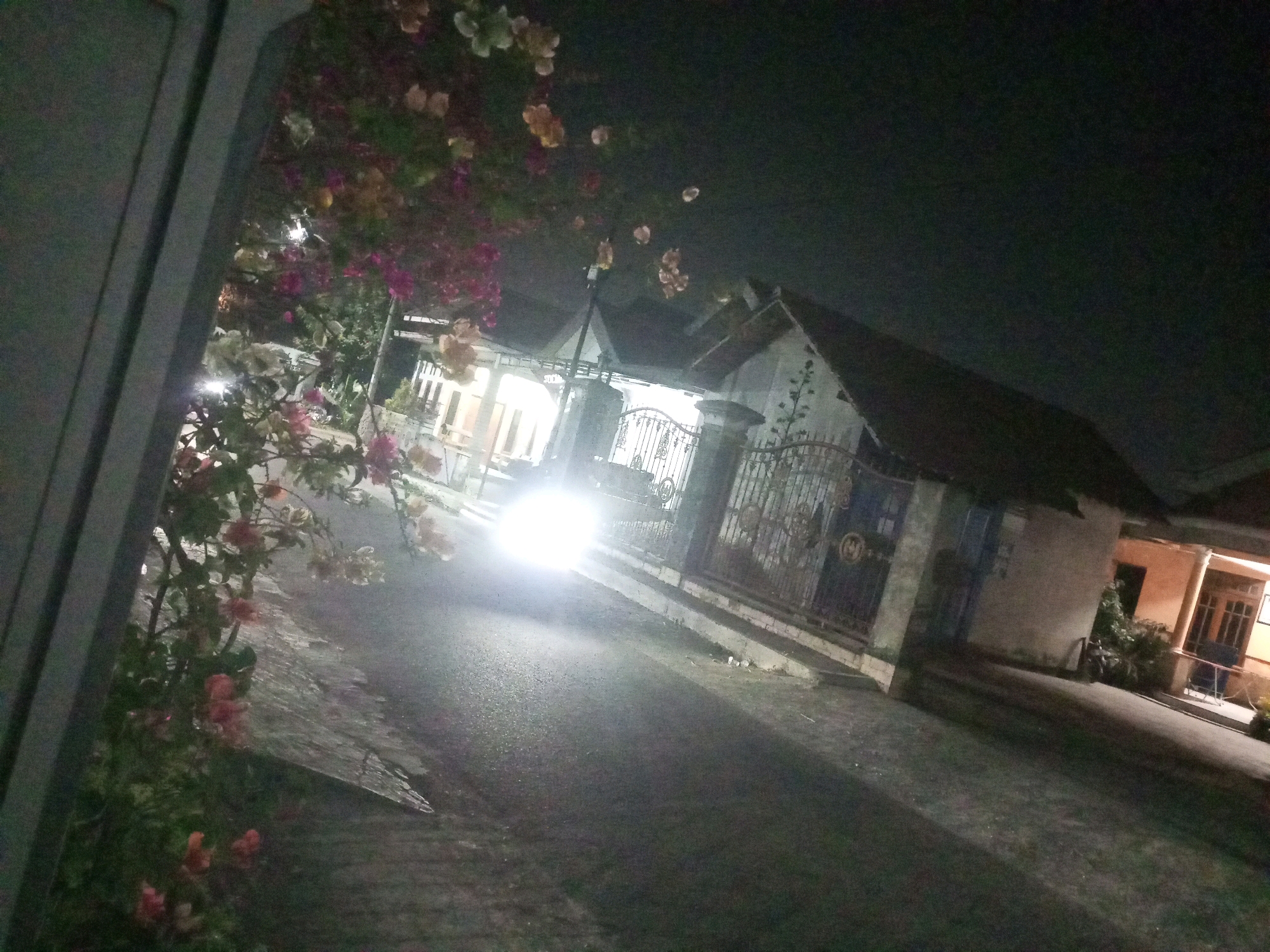 The image captures a street scene at night in Ngasem, Indonesia. The foreground is dominated by a dark, textured surface, possibly a wall or fence, on the left side. To the right of this, a pathway or sidewalk is visible, lined with lush green foliage and vibrant pink and white flowers. The pathway leads to a paved road where bright headlights of an approaching vehicle illuminate the scene, creating a strong glare. Beyond the road, a house with a dark-tiled roof and a white facade is situated. The house has a decorative metal fence in front of it, with ornate scrollwork and a central emblem. Some windows of the house are illuminated from within, casting a warm glow. The overall environment suggests a residential area in a tropical climate, with the vegetation and architectural style consistent with Indonesia. The lighting conditions indicate it is nighttime, with artificial light from the house and the vehicle being the primary sources of illumination. No people are clearly visible in the image.