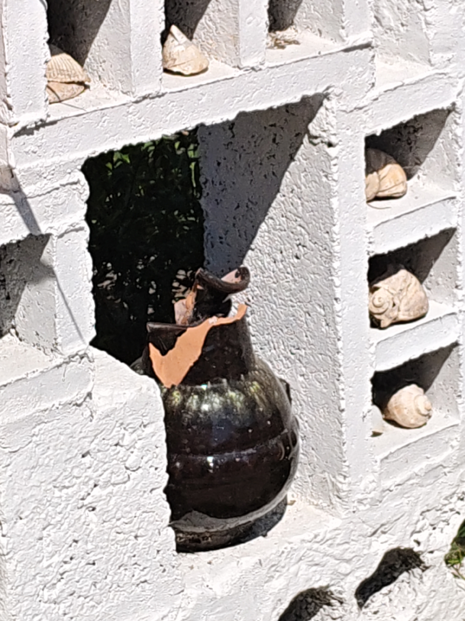 The image depicts an outdoor scene in Rostov-on-Don, Russia, focusing on a white, textured wall with a series of cubby-like compartments. Several shells of varying sizes and shapes are displayed within these compartments. In the foreground, a dark, possibly ceramic, vase with a broken rim and a fragment of terracotta-colored material attached is visible. The vase is positioned in a larger opening in the wall, which reveals dark green foliage behind it, suggesting vegetation. Sunlight casts shadows across the textured surface of the wall, indicating it is daytime. The overall impression is of a decorative wall feature, possibly in a garden or courtyard setting.