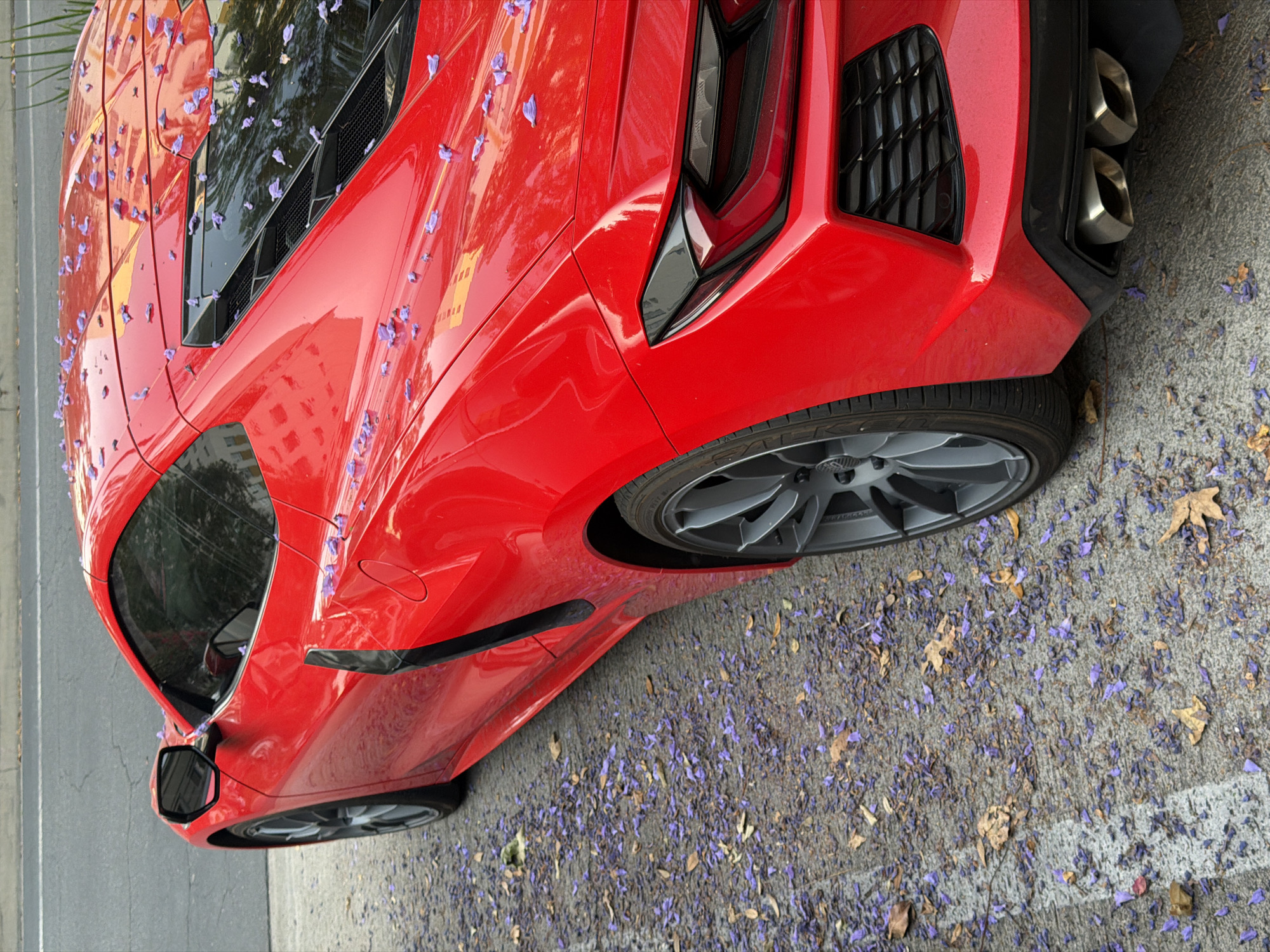A red Chevrolet Corvette Stingray (C8) is parked on a city street covered in fallen purple Jacaranda flowers. The car is parked near the curb, and part of the street is visible. The location is likely in Los Angeles, CA, based on the prevalence of Jacaranda trees in the area. No people are visible. The car's wheels are gray, and the exhaust pipes are silver. The background consists of a sidewalk and vegetation.