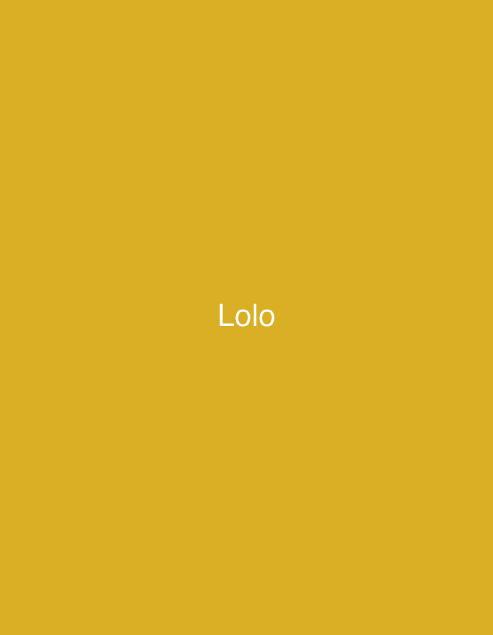 The image displays a solid, mustard yellow background. Centered on this monochromatic field, the word "Lolo" is written in a clear, white sans-serif font. There are no other visible subjects, objects, or discernible scenes. No people or activities are depicted. The background is uniform in color and texture, offering no visual cues for time of day, weather, or specific geographic location, including Santa Ana, Venezuela. The only notable detail is the contrasting white text against the yellow background. The image evokes no specific emotions and presents no complex narrative or event.