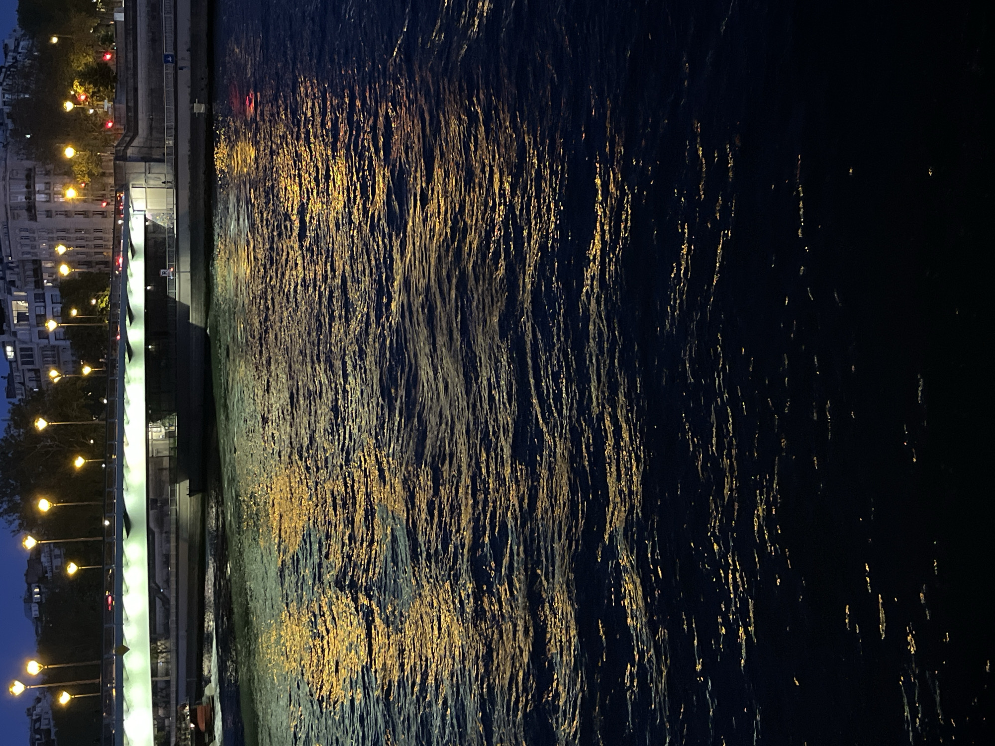 This nighttime photograph captures a serene urban river scene, characteristic of Paris, France. The image is dominated by the dark, rippling surface of the river (likely the Seine), which reflects numerous golden-yellow lights in elongated, shimmering streaks, particularly concentrated towards the center and left of the frame.
Along the left bank, a structure resembling a bridge or an illuminated embankment runs horizontally. This structure features embedded greenish-white lights that glow softly, illuminating its lower edge. Above this, a row of traditional streetlights with warm, golden-yellow glows extends along the bank, with their reflections clearly visible in the water. Beyond the immediate bank, faint outlines of multi-story buildings are discernible in the distance, their windows emitting soft lights, and some red dots suggesting distant traffic or building lights. Dark silhouettes of trees are also visible behind the streetlights on the bank.
The time of day is clearly night, evidenced by the deep darkness of the sky and the prominence of artificial illumination. There is no overt activity or specific event taking place, but rather a peaceful depiction of a city's nocturnal ambiance. No people are visible, nor is any text discernable within the frame. The overall mood is one of tranquility and urban beauty, with the intricate patterns of light on the water being a notable detail.