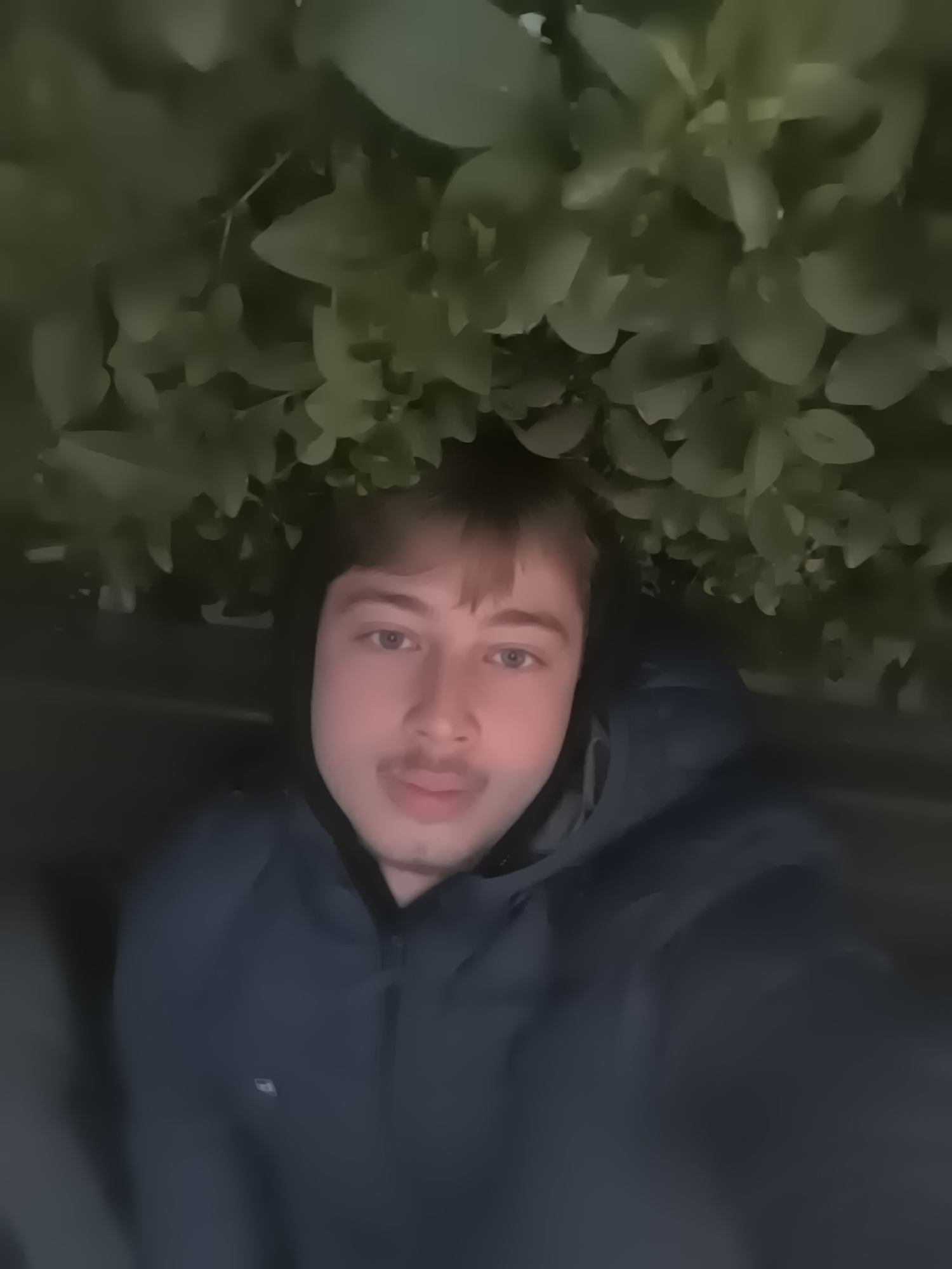 A young man is taking a selfie under a bush or tree with dense green leaves. He is wearing a dark blue hooded jacket. The location of the image is likely in Sofia, Bulgaria, but no elements in the image allow verifying or discarding this location. The time of day is likely evening or night, based on the low ambient light.