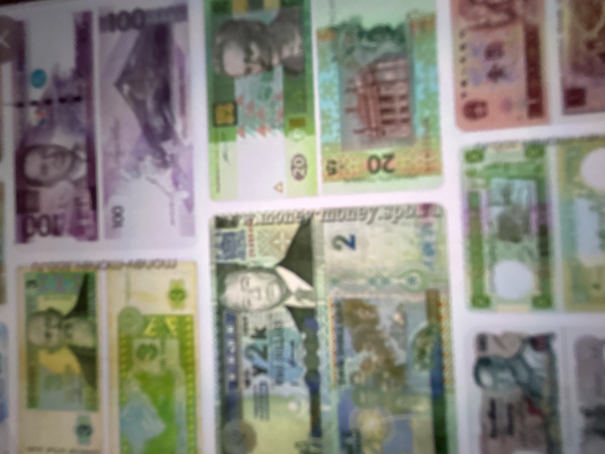 The image displays a collection of various currencies, primarily banknotes, laid out on a flat surface. The banknotes are of different denominations, colors, and designs, suggesting a diverse range of countries or regions are represented. Some banknotes are predominantly purple with images of people and numbers like "100" visible. Others are green and yellow, with designs featuring buildings and numerical values such as "20". There are also some banknotes with reddish-brown hues and intricate patterns. The image is slightly blurry, making it difficult to identify specific details on most of the currency. However, one banknote prominently features a portrait of a man with a suit and tie, along with the text "BY2K". Another banknote shows the numeral "2". The collection of money implies an interest in numismatics, currency exchange, or a display of wealth. The lighting appears to be artificial, casting a bright, even illumination on the subjects. There are no strong indicators of time of day or weather conditions. The setting is likely indoors, given the controlled lighting and the arrangement of the banknotes. There are no discernible location cues specific to Gelendzhik, Russia.