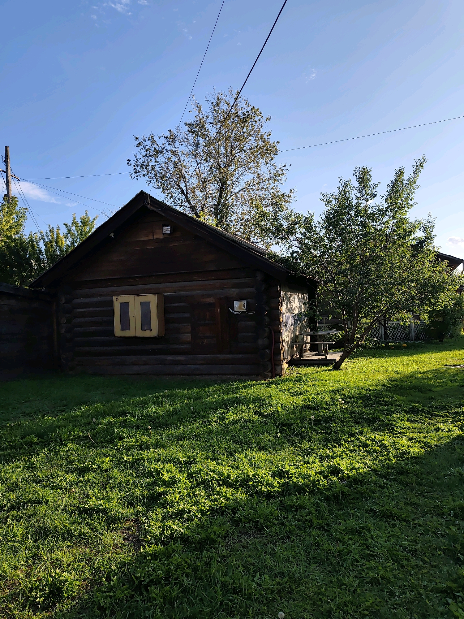 The image depicts a rustic wooden cabin situated in a grassy yard. The cabin appears to be constructed from dark, weathered logs and features a prominent, lighter-colored window with two rectangular panes. A small, attached structure or extension is visible to the right of the main cabin, with a wooden deck and a picnic table. A lush green tree with dense foliage is located to the right of the cabin, casting a shadow on the grass. In the background, more trees and a white lattice fence are visible, suggesting a rural or semi-rural setting. The sky above is a clear blue with a few wispy clouds. Power lines are visible stretching across the upper portion of the image, and a wooden utility pole is present on the left. The scene is bathed in the warm light of what appears to be late afternoon sun, creating dappled shadows on the grass. There are no people or animals visible in the image. This setting is consistent with a dacha, a common type of country house in Russia, which can be found in suburban and rural areas around Irkutsk.