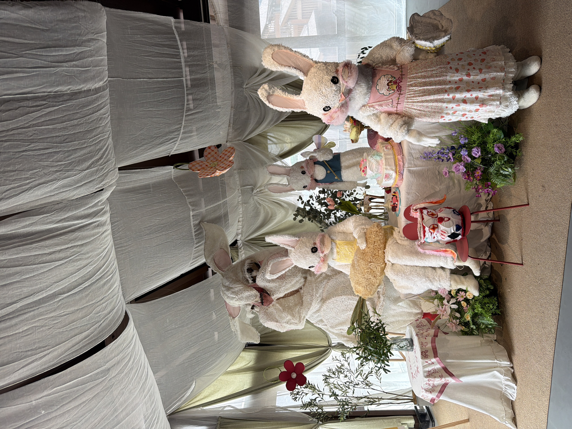 This is a photograph of a festive Easter display in a building, possibly a mall or event space. The scene is decorated with white draping fabric on the ceiling, creating a soft, airy atmosphere. The main subjects are several large, plush bunny figures.
In the foreground, to the right, stands a life-sized bunny dressed in a pink pinafore with a strawberry print and a white lace trim. It has large, round eyes, pink accents on its face, and is holding a straw hat. Next to it, to the left, a smaller bunny wearing a yellow apron is seated and holding a large, golden-brown object that resembles a piece of bread or a pastry.
Behind these two, a larger, white bunny figure is seated. This figure is much taller and appears to be wearing a textured white garment. To the left of this large bunny, a table is covered with a white tablecloth adorned with red trim and a pattern of small figures. On the table, a vase holds greenery.
Further back, a standing bunny figure wears a blue vest over a white outfit and holds a small, decorative fan. In front of this bunny is a multi-tiered cake, decorated with light blue and pink frosting and surrounded by smaller candies and decorations.
To the left of the cake, a cluster of flowers, primarily pink and purple, with green foliage, is arranged. A bright red flower decoration hangs from the ceiling drapery on the far left. A small red chair with a decorative, white and red object on it is placed in the mid-ground, between the seated smaller bunny and the standing bunny in the blue vest.
The background reveals more of the interior space with windows that let in natural light, suggesting an indoor setting. The overall impression is a whimsical and celebratory Easter arrangement. The location is identified as Yuzhong District, China.