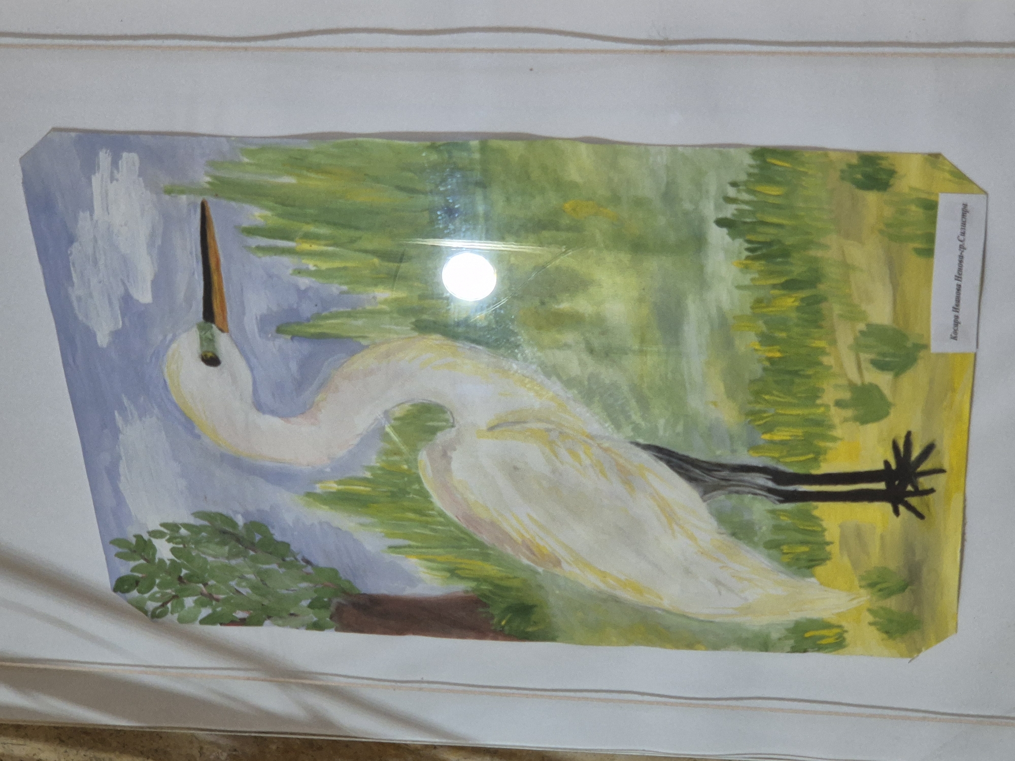 The image is a child's painting of a great egret (Ardea alba) in a marshy environment. The egret is depicted with a white body, yellow beak, and dark legs. The background consists of green and yellow vegetation, suggesting reeds or grasses, with a blue sky and some clouds in the upper left corner. The painting is likely inspired by the Srebarna Nature Reserve in Srebarna, Bulgaria, a UNESCO World Heritage site, known for its diverse birdlife, including the great egret. The style is naive and characteristic of children's art. The name "Kocapa Hиколовa Hиколова-гр. Силистра" is visible in the top right corner, potentially indicating the artist's name and location (Silistra, Bulgaria).