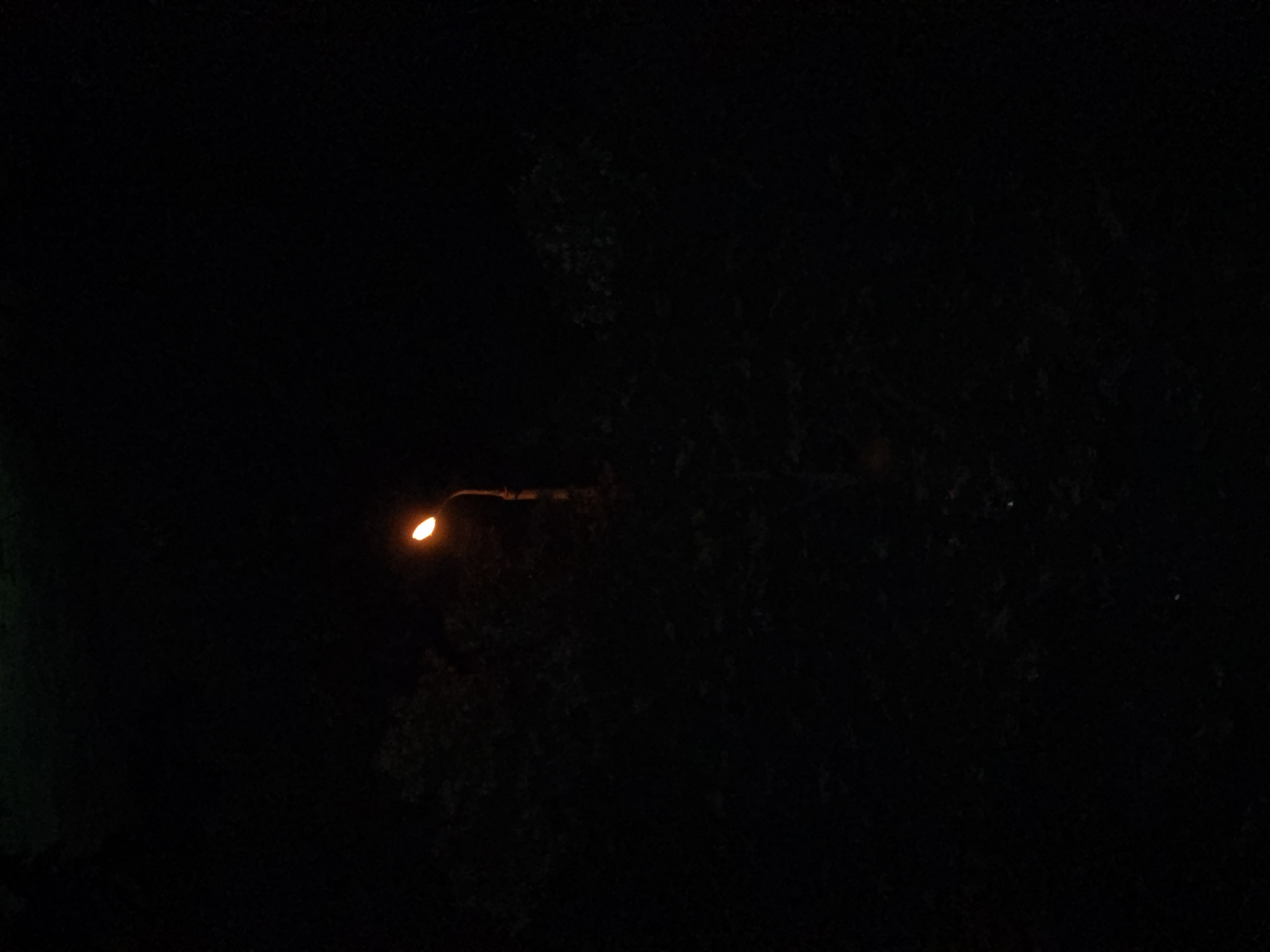 In a dark, outdoor environment, a solitary street lamp illuminates the scene with a warm, orange glow. The lamp post is tall and slender, with a curved arm supporting the light fixture. Surrounding the lamp post, dense foliage or trees are visible, appearing as dark shapes against the night sky. The overall atmosphere is one of quiet solitude, with the light of the lamp creating a small, isolated pool of visibility in the surrounding darkness. There are no people or discernible actions taking place.