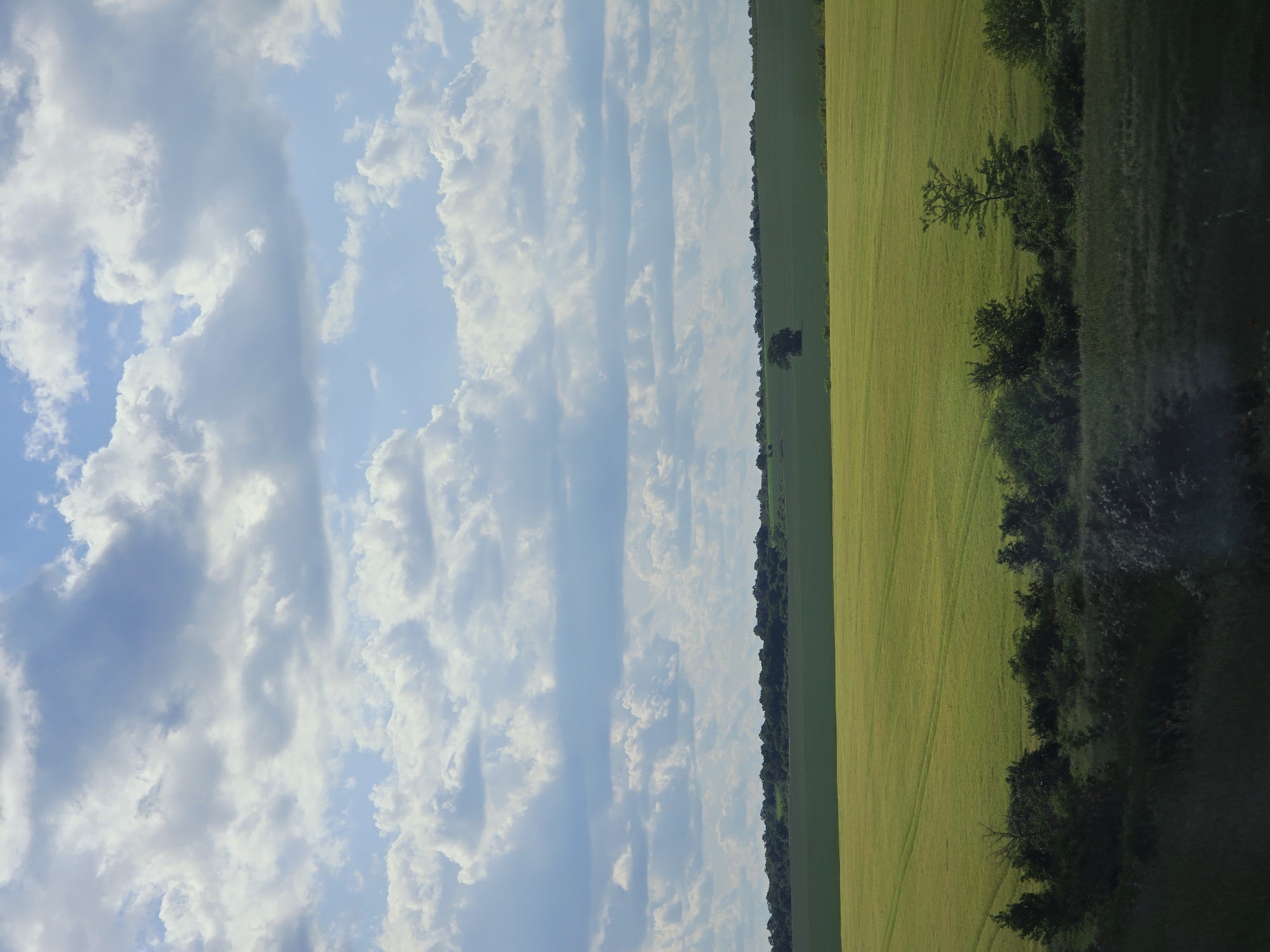 The image depicts a landscape in Vaglen, Bulgaria. The left side of the image is dominated by a sky filled with white, puffy clouds against a blue backdrop. The right side of the image features a green field. A thin line of trees separates the sky and field. The field extends into a darker green area with trees and some obscured elements. The image orientation is vertical.