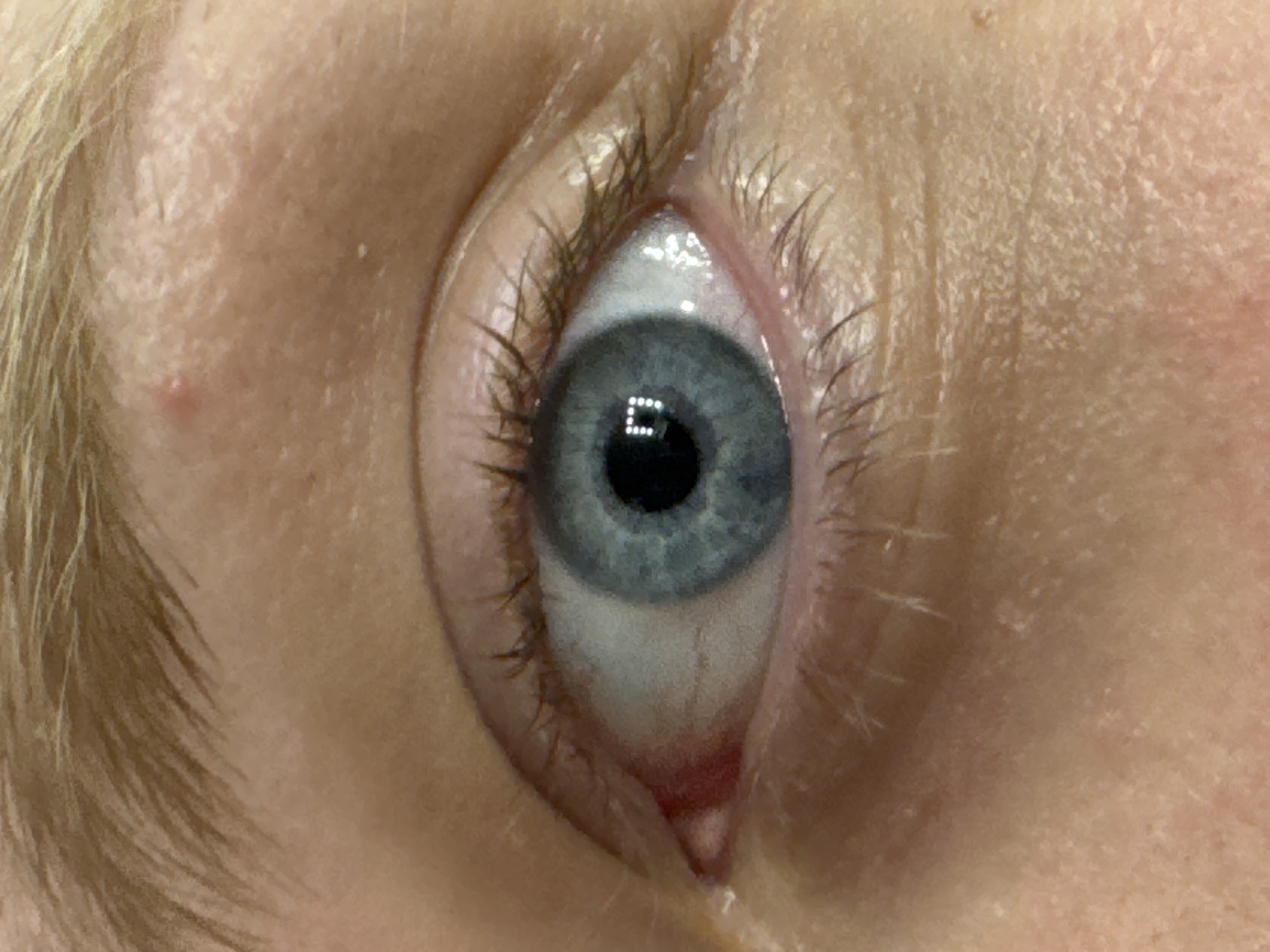 The image is a close-up, eye-level, portrait-style photograph of a human eye. The eye is open, and the iris is a light blue-gray color. The pupil is black and round, with a rectangular reflection of a light source visible within it. The sclera, or white part of the eye, is visible and appears slightly red with visible blood vessels. Eyelashes frame the eye, and the skin surrounding the eye is fair-toned with subtle texture. The eyebrow above the eye is light brown and appears to be made of fine hairs. The image does not contain any information about a location in Saratov, Russia.