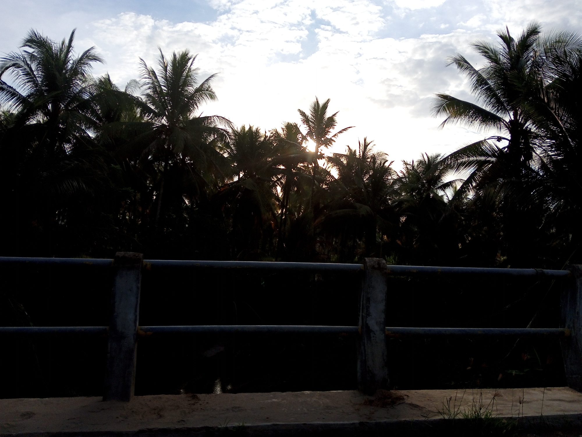 The image depicts a scene in Kruengbeukah, Indonesia. In the foreground, a concrete and metal barrier is present, suggesting a bridge or elevated structure. Behind the barrier, a dense cluster of silhouetted coconut palm trees fills the middle ground. Sunlight filters through the leaves, creating a bright, hazy backdrop against a sky with scattered clouds. The image is predominantly dark due to the backlighting.