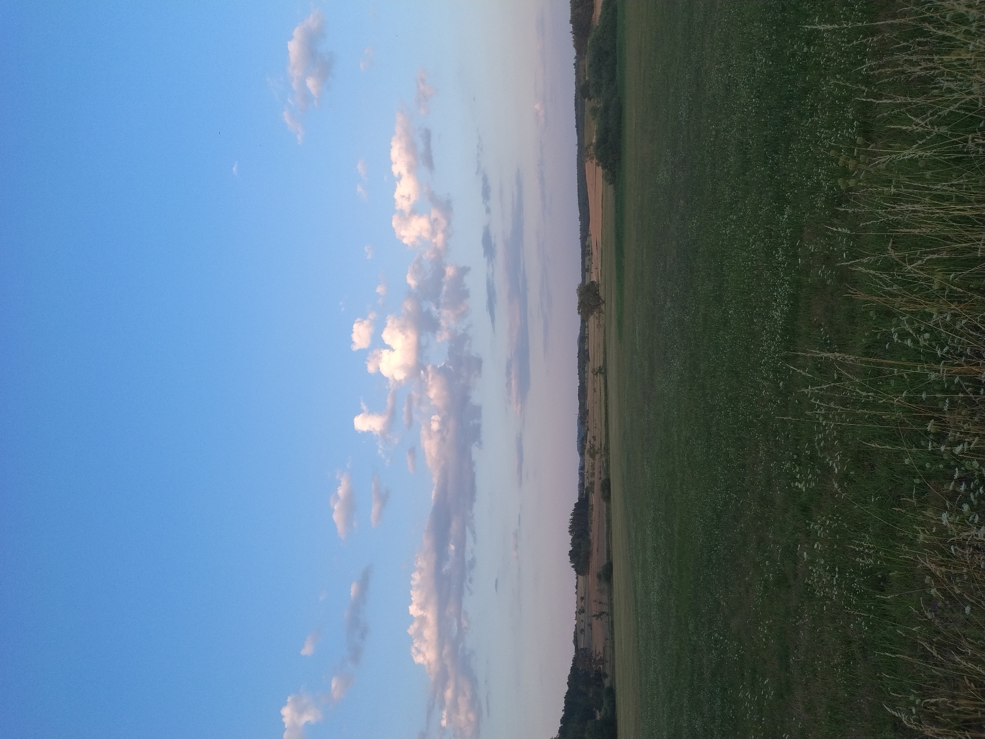 The image depicts a wide, open, green field under a clear blue sky dotted with scattered white clouds. The field is largely devoid of human presence or prominent objects, with the exception of some distant trees and vegetation forming a darker line along the horizon. The foreground shows tall grass and wildflowers, adding texture to the scene. The overall impression is one of a tranquil rural landscape, likely in the vicinity of Dobev, Czechia, given the context. The lighting suggests it is either early morning or late afternoon.