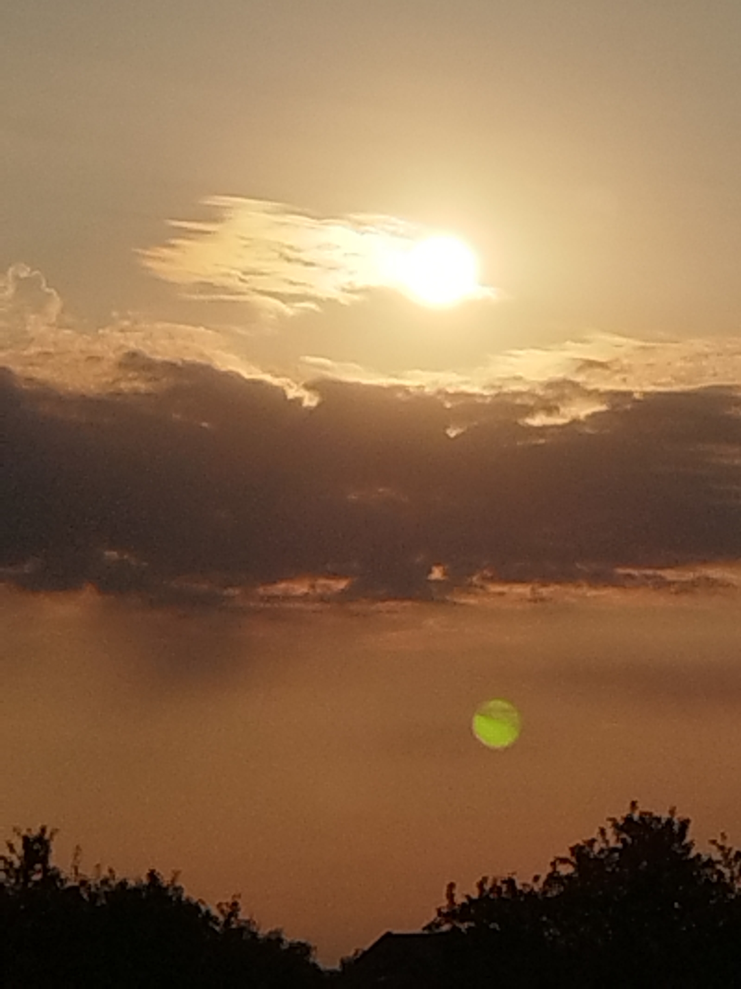 The image captures a sunset over Vidra, Romania. The sun, a bright, white orb, is partially obscured by clouds, casting a warm, orange glow across the sky. Dark, heavy clouds are positioned below the sun, creating a dramatic contrast. In the lower part of the frame, silhouetted trees form a dark, jagged line against the dusky sky. A small, bright green, circular object, possibly a lens flare or a drone, is visible in the mid-ground of the sky. The overall scene evokes a sense of tranquility and natural beauty.