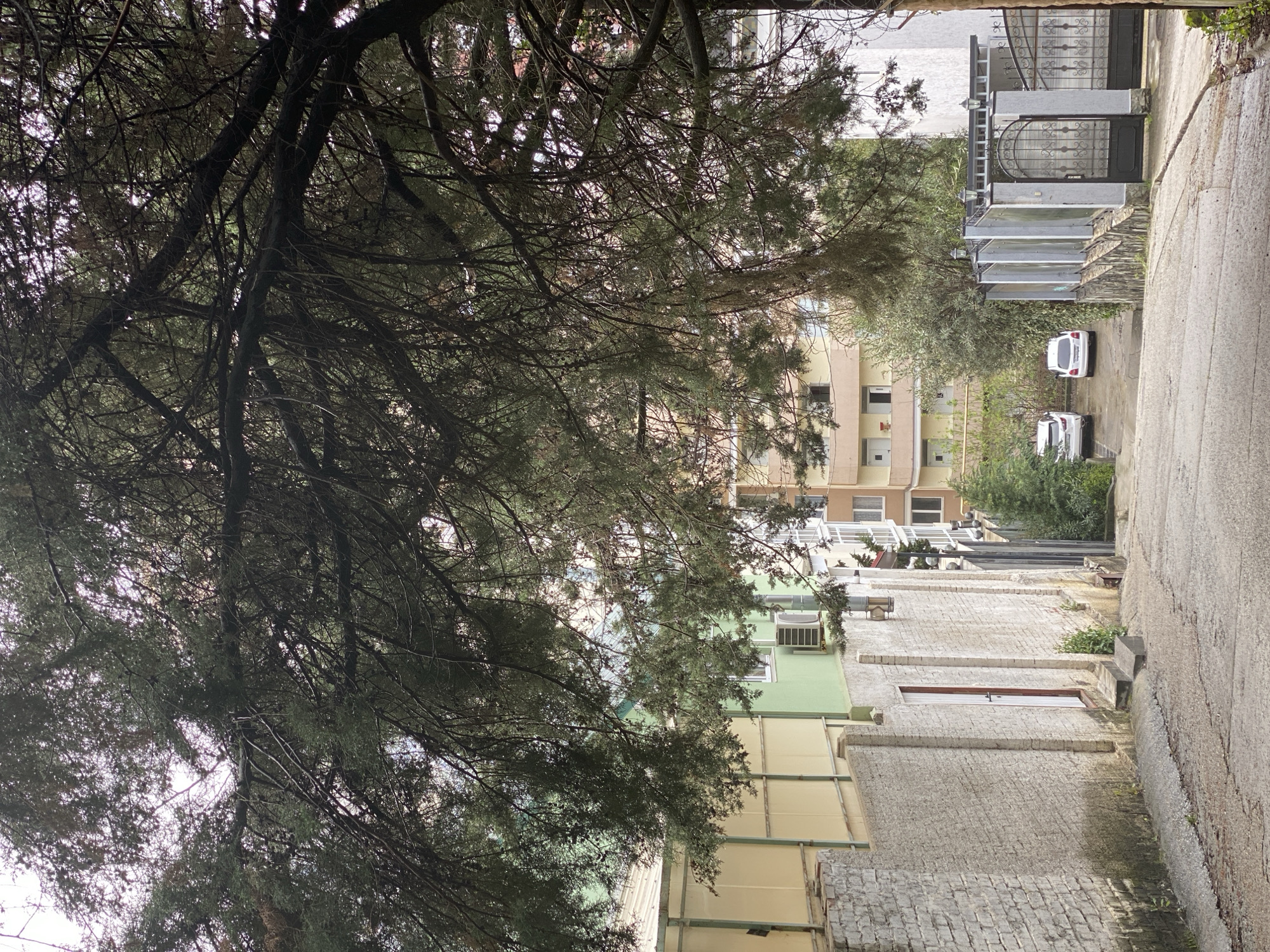 The image depicts a narrow street in Sochi, Russia. The street is lined with buildings of varying heights and colors, some with visible air conditioning units. Two parked cars are visible further down the street. Overhanging branches from a large tree create a dense canopy, partially obscuring the buildings. The street surface is paved, and a gated entrance is present at the far end.