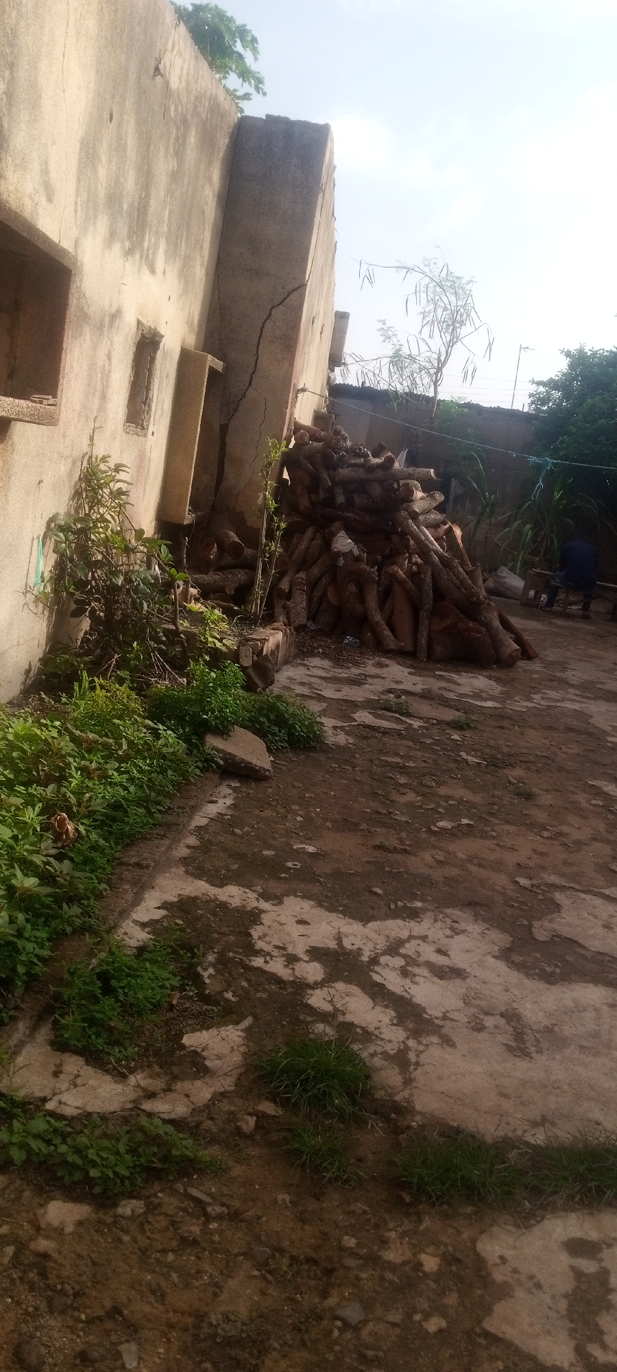 The scene is located in Sabon Tasha, Nigeria, showing a courtyard or backyard area with a dilapidated building. The building's wall has a significant crack. There is a pile of logs next to the wall, and some vegetation grows along the base of the wall and in patches on the ground. The ground is a mix of concrete and exposed soil. In the background, a person is sitting on a stool. There is also a fence and some trees visible.