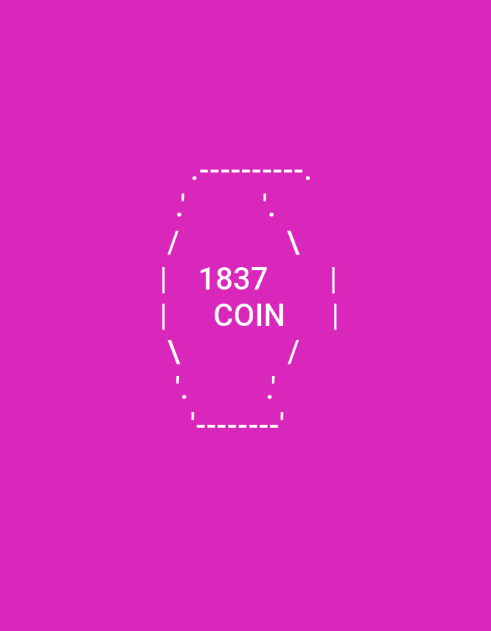 The image displays a digitally rendered, abstract design on a vibrant magenta background. The design is composed of white lines and dots, forming an irregular polygonal shape resembling a stylized flask or amphora. Within the center of this shape, the text "1837 COIN" is prominently displayed in white capital letters. The overall aesthetic is minimalist and graphic. There are no people, animals, specific locations within Sluck, Belarus, or any contextual elements that would suggest a real-world scene.