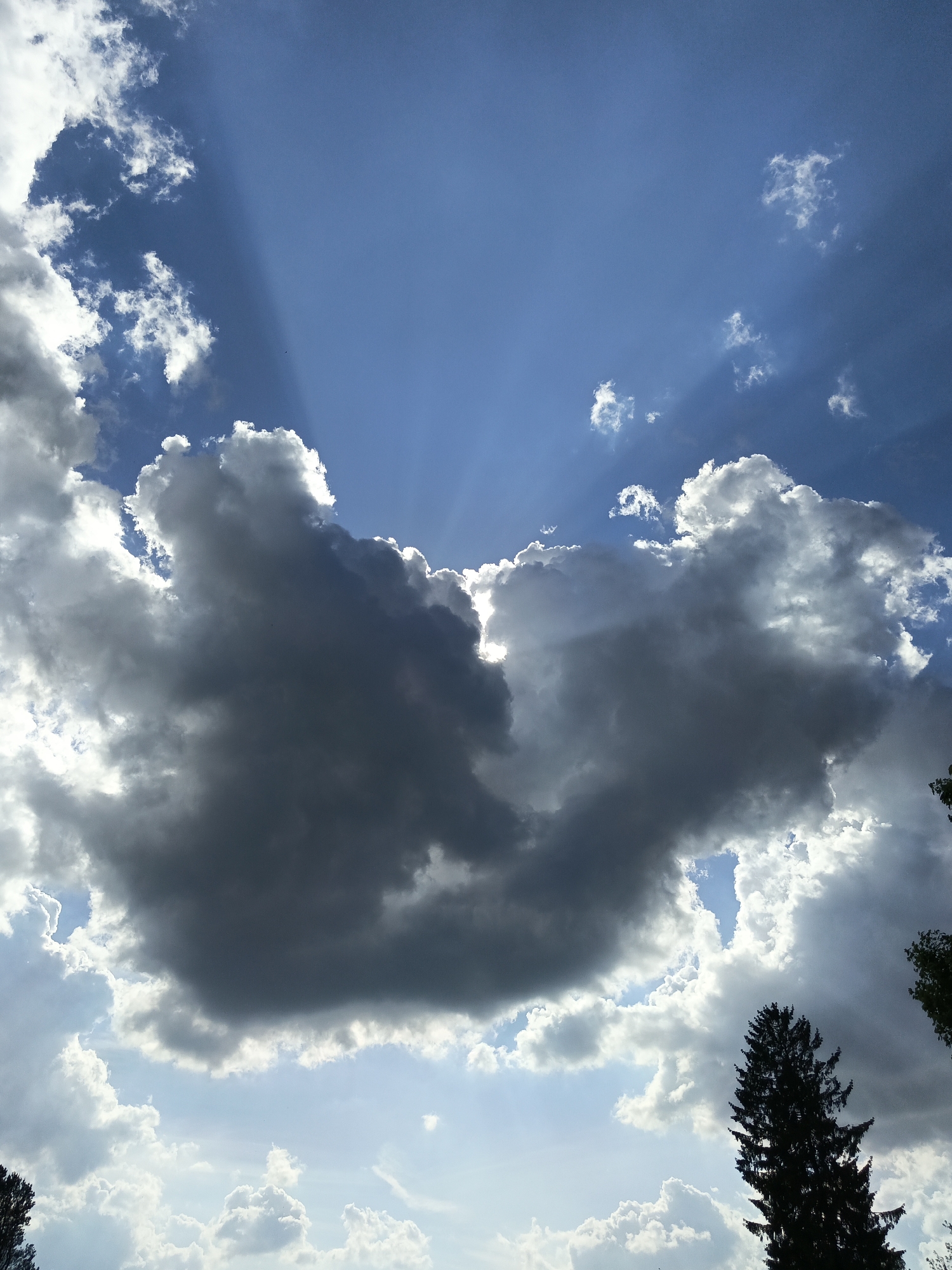 The image shows a daytime sky filled with clouds. The sky is a vibrant blue, with some areas partially obscured by thick, grey storm clouds. Sunlight filters through the clouds, creating visible sunbeams. In the lower right corner, the silhouette of a pine tree is visible, and a tree with green leaves is barely visible to the top right corner. Fluffy, white clouds are scattered throughout the sky beneath the storm clouds. The location is Парэчча, Belarus.