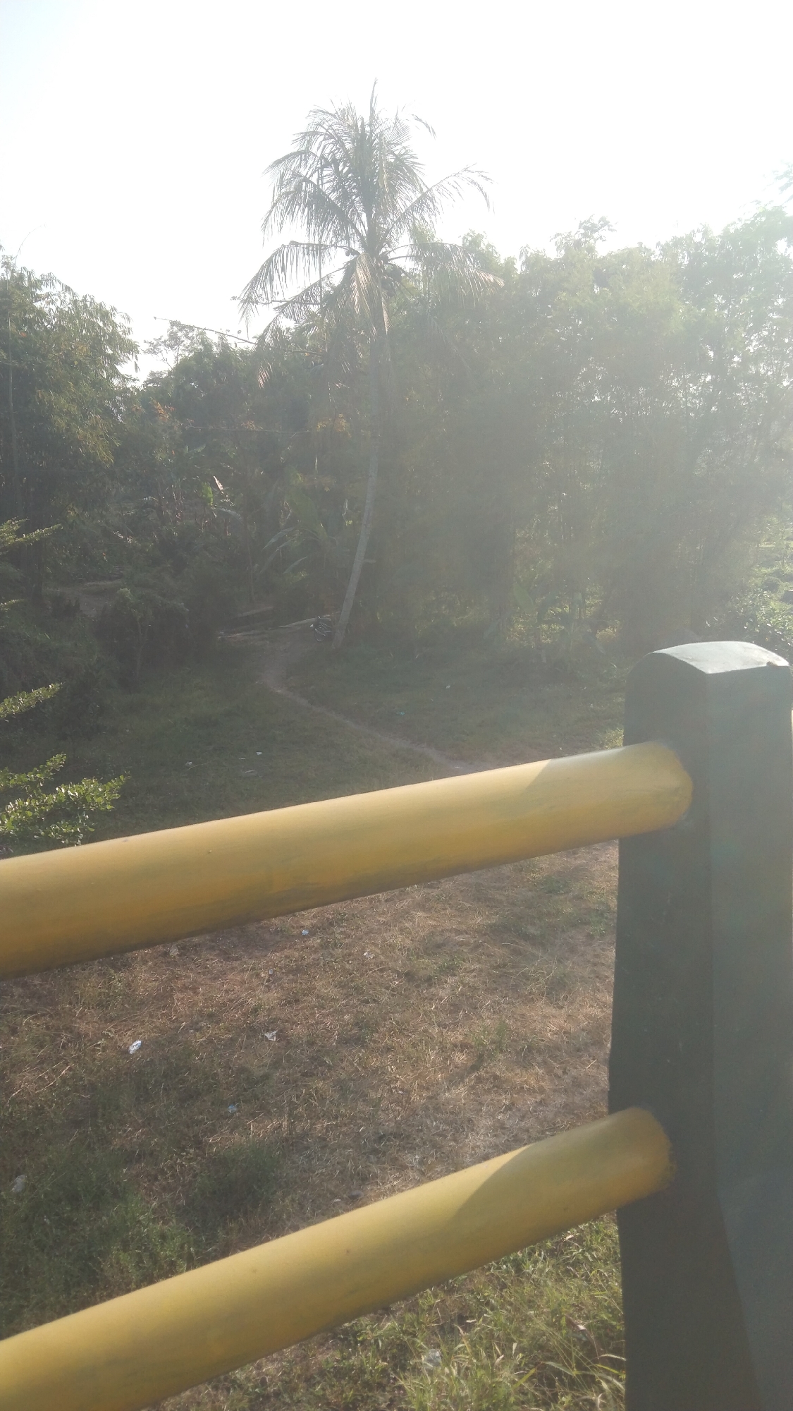 This image depicts a sun-drenched outdoor scene, likely in a rural or semi-rural area within Argomulyo, Indonesia, given the presence of lush vegetation and a coconut palm tree. In the foreground, a yellow railing with a dark pillar anchors it, suggesting it might be part of a bridge or a protective barrier. The railing extends across the lower half of the frame. Beyond the railing, a path winds through dry, grassy terrain dotted with some scattered debris. The background is dominated by dense foliage, including trees and tropical plants, with a tall coconut palm tree prominently featured near the center. The bright sunlight creates a hazy effect, casting a soft glow over the entire scene and obscuring some details in the distance. The overall impression is one of a tranquil, natural environment, possibly a pathway leading into a wooded area.
