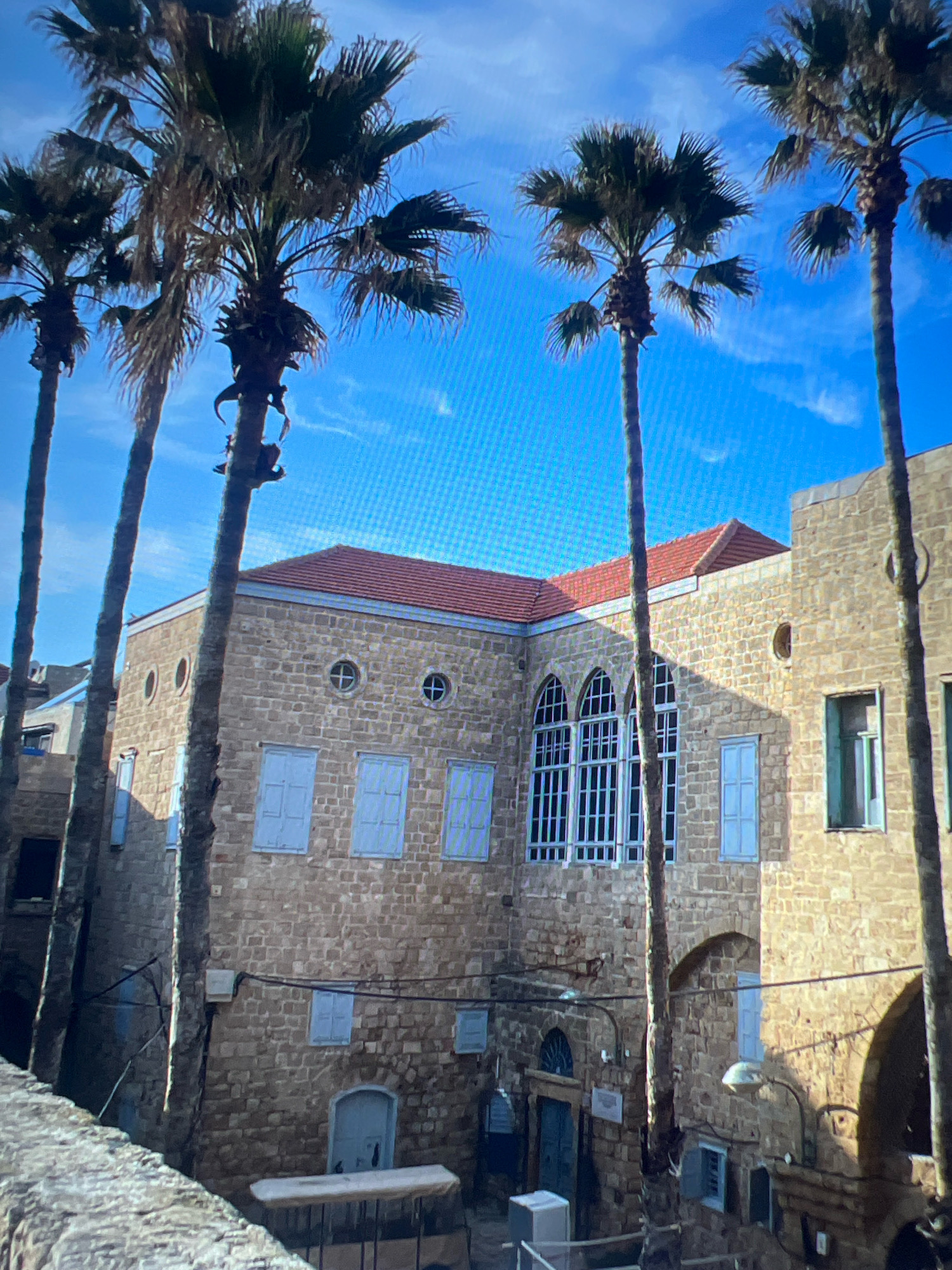 The image shows a street scene with palm trees in the foreground and a stone building with a red-tiled roof in the background. The building has several windows, some with light blue shutters, and arched doorways. The sky is clear and blue. The scene appears to be in a city.