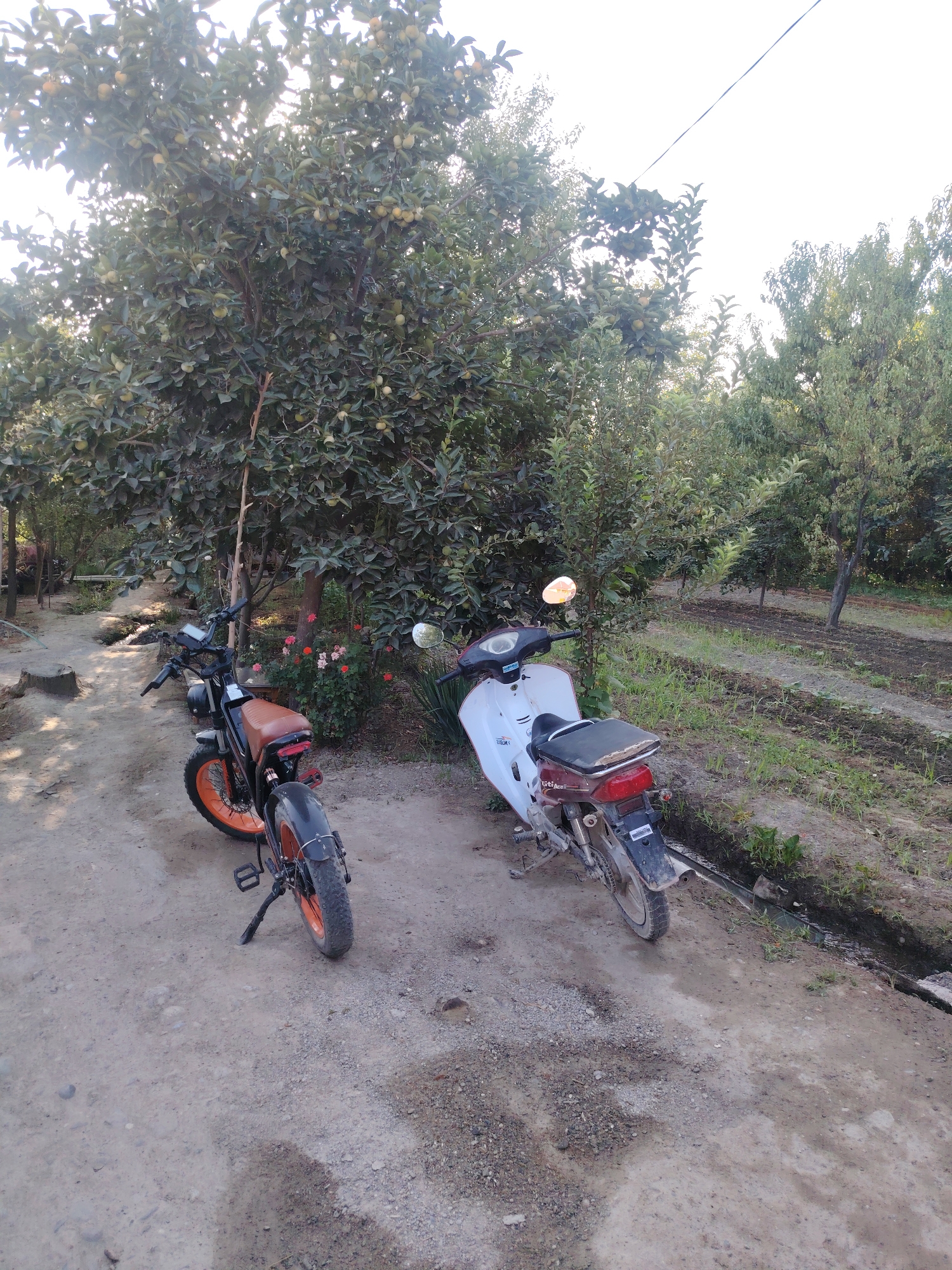 Memory