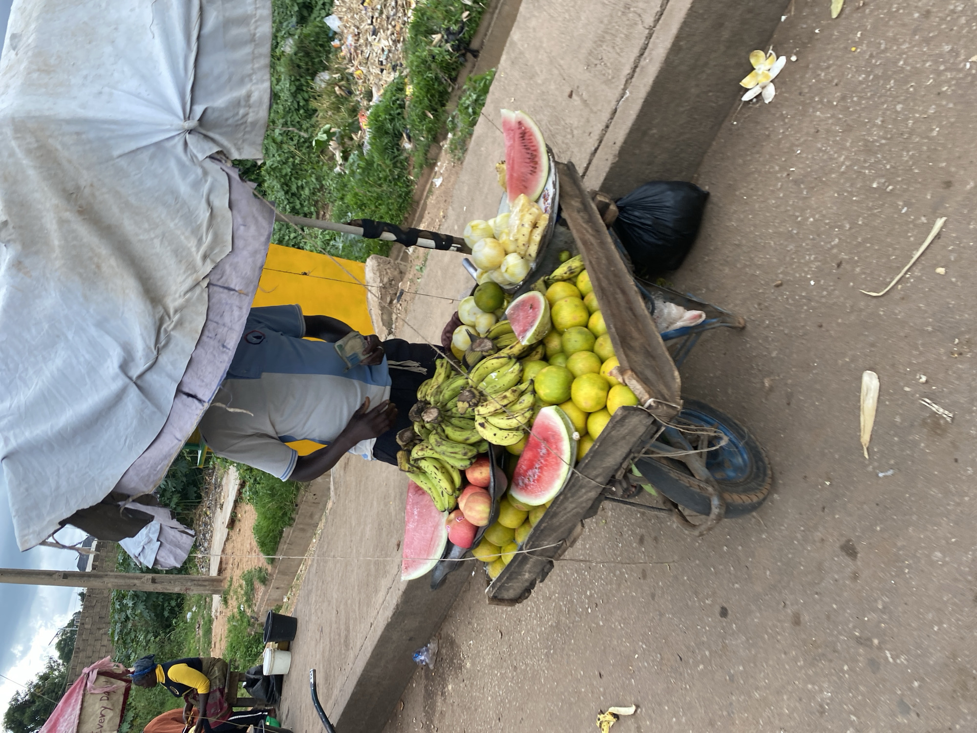 In Bukuru, Nigeria, a fruit vendor stands beside a wheelbarrow filled with produce, under a large, weathered white umbrella. The wheelbarrow contains a colorful assortment of fruits including green bananas, oranges, red apples, and slices of watermelon. There are also what appear to be peeled pineapples and onions displayed on a plate. The vendor, wearing a blue and white shirt, is holding what looks like currency. To the left of the frame, another woman is seated, possibly a customer, near a red and white market stall. The background shows a dusty street with some vegetation and debris, suggesting a typical urban roadside market setting. The overall scene depicts a transactional moment in an outdoor marketplace.