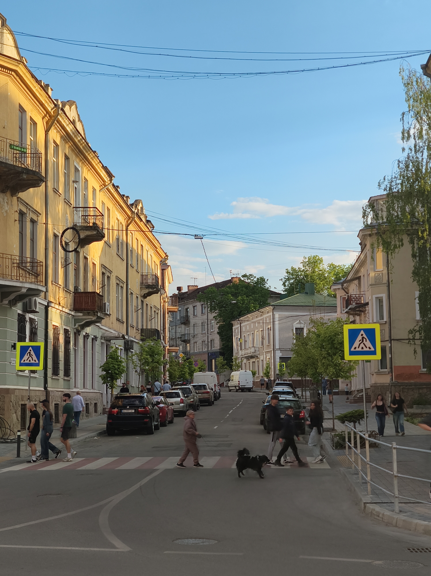 A sunny, daytime street scene in Ternopil, Ukraine features an asphalt street with white pedestrian crosswalks. Pedestrians, some in small groups, are actively crossing the street. A black dog crosses the street. Cars are parked along both sides of the street. Pedestrian crossing signs are visible on both sides of the road. The street is lined with buildings, some with balconies and decorative elements. Overhead electrical wires cross the sky above. The sky is blue with some scattered clouds.