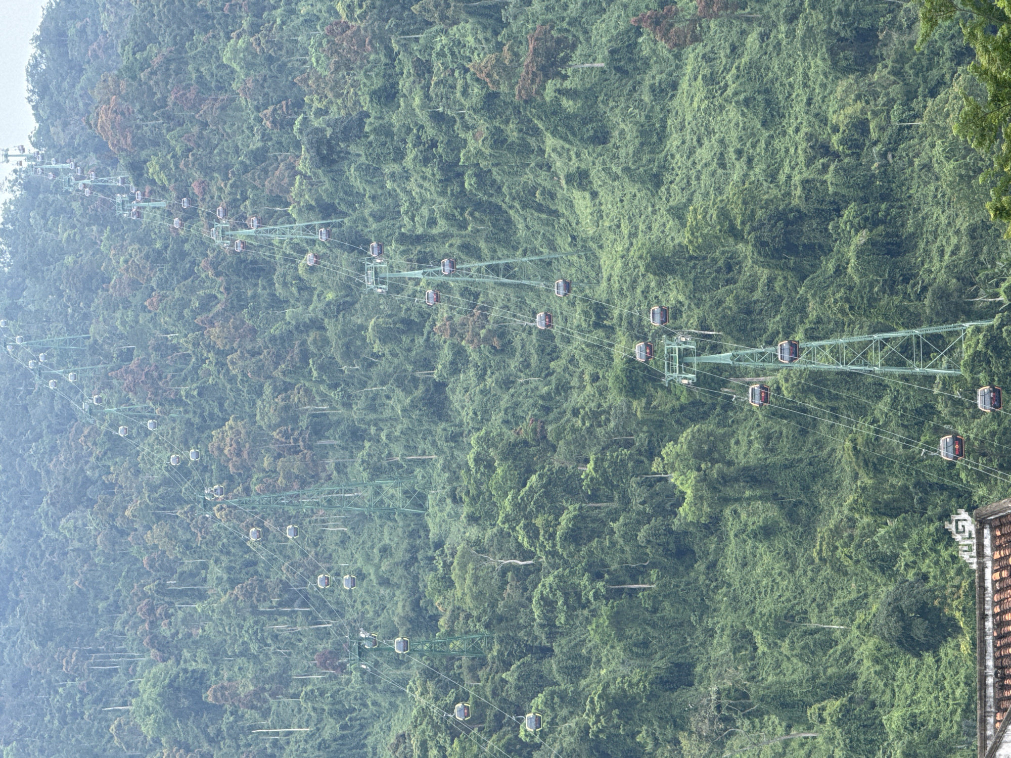 This vertically oriented image showcases a vast, densely forested mountain slope, characteristic of the landscape near Đà Nẵng, Vietnam. The dominant feature is a long and intricate cable car system, with numerous green metal support towers extending diagonally across the frame, ascending the mountain. Dozens of cable car gondolas, primarily dark red or a lighter yellowish hue, are suspended along the lines, indicating active operation and passenger transport up and down the mountain.
The mountain itself is covered in a thick, vibrant canopy of green trees, with some patches of trees exhibiting reddish-brown foliage, adding subtle variation to the rich green tapestry. The atmosphere appears somewhat hazy or misty, especially in the distance, lending a soft, diffused quality to the light and obscuring very distant details. This suggests a typical daytime condition in a humid, mountainous environment.
In the bottom right corner, a partial view of a building is visible. It features a distinctive terracotta-tiled roof and light-colored walls. An indistinct logo or text appears on the building's facade, but it is not clearly legible. The scene captures the scale of the natural environment and the significant tourist infrastructure built within it.