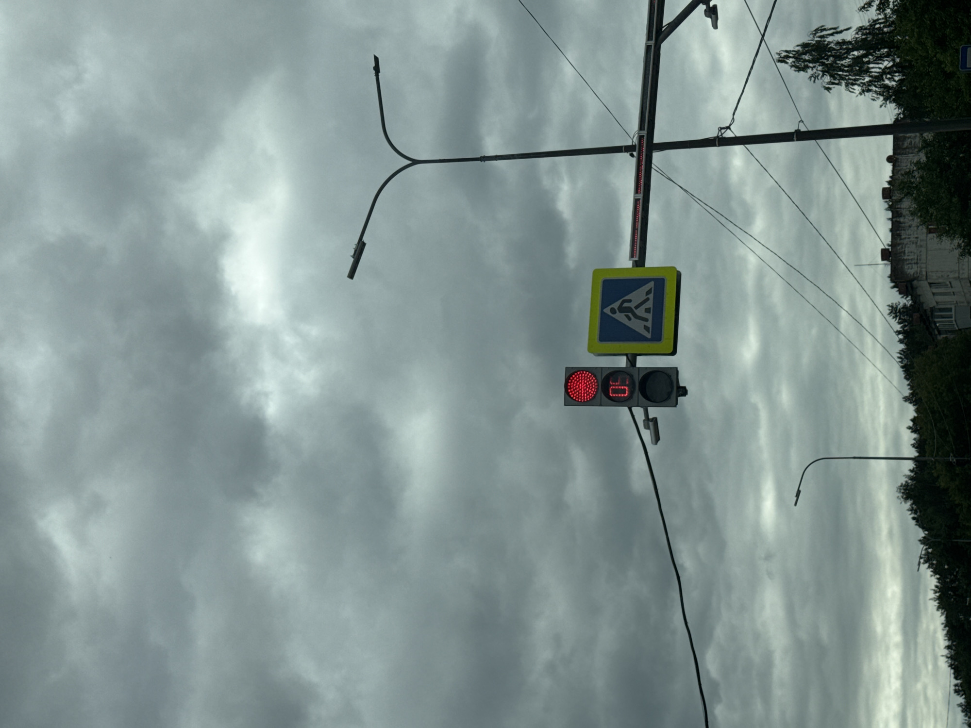 This is a vertical, eye-level shot of a cloudy sky over an urban area in Chaikovsky, Russia. In the foreground, a traffic light displays a red signal and a digital countdown of "05." To its right is a pedestrian crossing sign, a blue square with a white silhouette of a person walking. A street lamp with a bifurcated arm stands further to the right, its black pole extending upwards. In the background, a dense line of dark green trees forms the horizon, with the roofs of some buildings visible peeking through. Power lines crisscross the scene, and the overall atmosphere is dim due to the overcast sky.