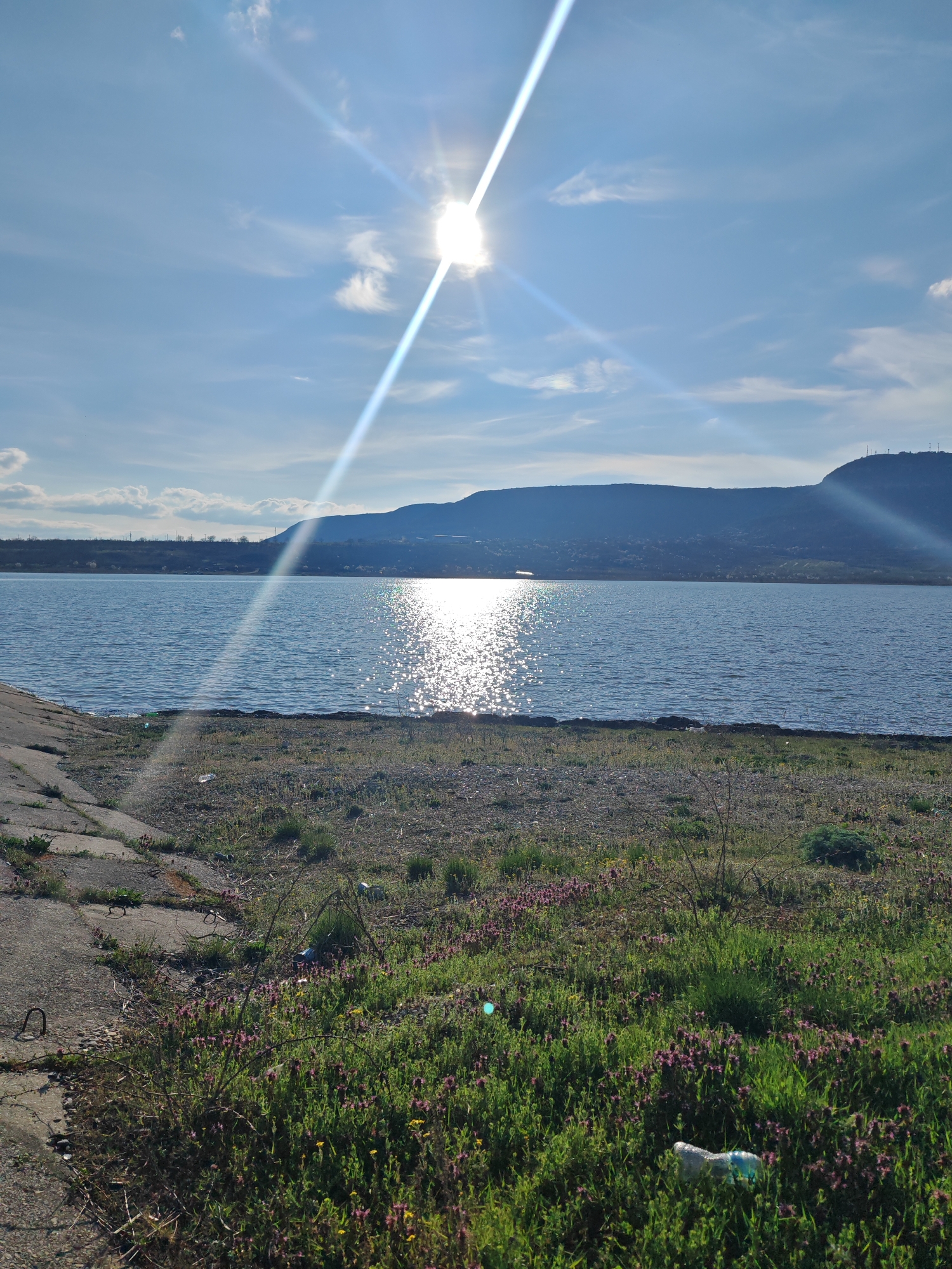 The image depicts a sunny day at the shore of a body of water. In the background, a mountain range is visible under a blue sky with scattered clouds. The sun is positioned high in the sky, creating a glare and lens flare. The water reflects the sunlight, creating a shimmering effect. The foreground consists of vegetation, including green plants and purple flowers. A concrete structure with metal fixtures is visible on the left side of the frame. A discarded plastic bottle is visible among the plants in the foreground. The location is likely near a lake or reservoir within the vicinity of Shumen, Bulgaria, given the mountain range in the background, which is characteristic of the Shumen region. The scene is peaceful but shows signs of pollution. No people are visible.