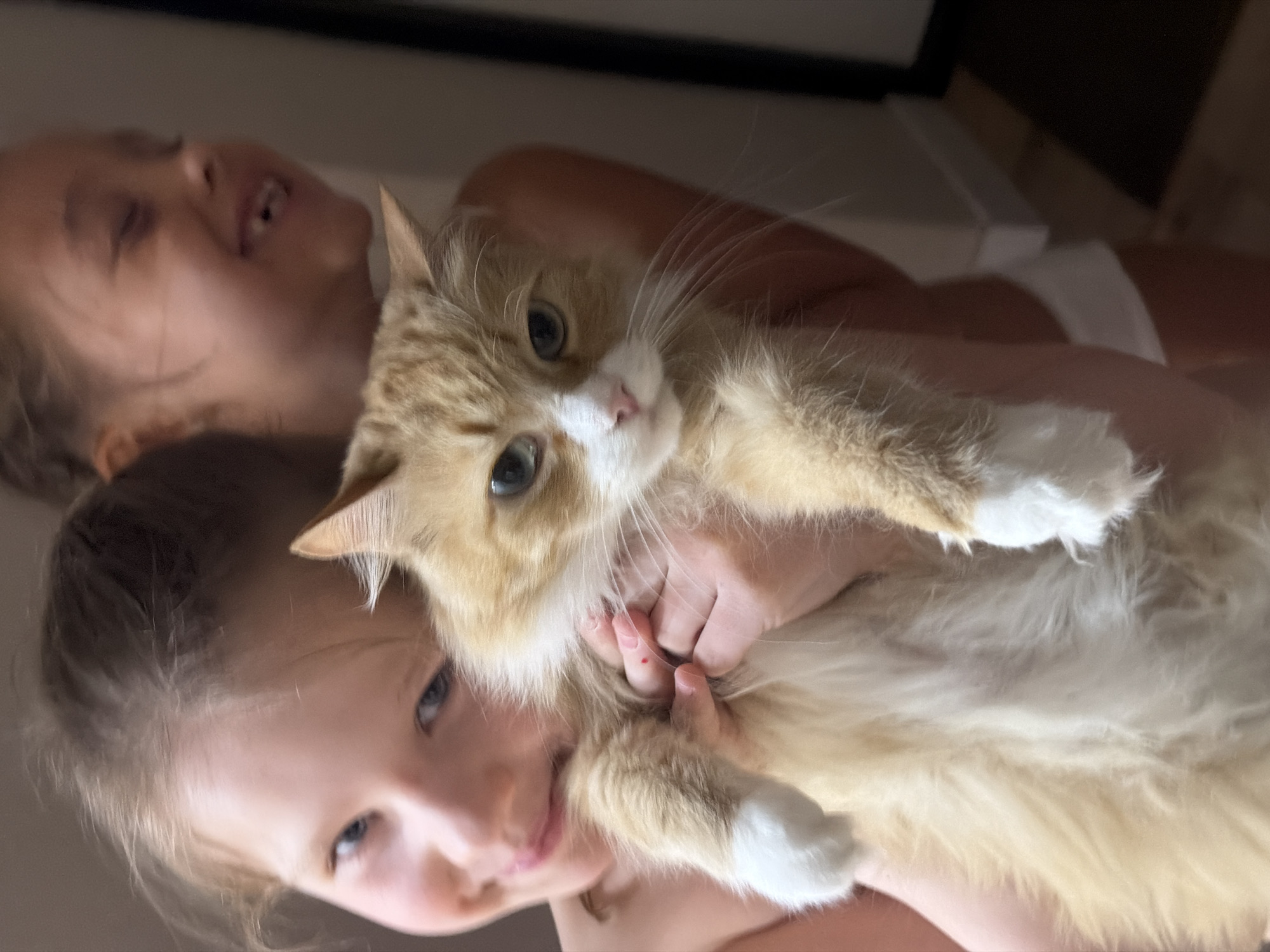 Two fair-skinned children are holding a ginger and white cat. One child is in the foreground, holding the cat. The second child is behind the first. The setting is indoors, with a white surface visible behind the second child and a dark background above. The location is not evident from the image and cannot be determined as being in Krasnoyarsk, Russia.