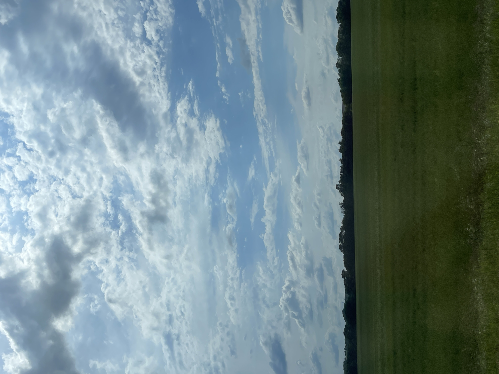 This is a landscape photograph taken from a slightly elevated perspective, showing a vast expanse of green grass stretching towards a line of dark green trees that forms the horizon. The sky above is a pale blue, filled with a dramatic display of white and grey clouds. Some clouds are wispy and thin, while others are puffy and dense, creating a textured and dynamic sky. The sunlight filtering through the clouds suggests it is daytime, likely mid-morning or afternoon, with the light casting a soft glow over the scene. The grass appears to be well-maintained, possibly a field or a large lawn, with some hints of taller, wilder grass on the right edge of the frame. The overall atmosphere is serene and natural, with no visible human presence or man-made objects other than perhaps the implied landscaping of the grassy area. The scene conveys a sense of openness and the beauty of a natural landscape under a cloudy sky.