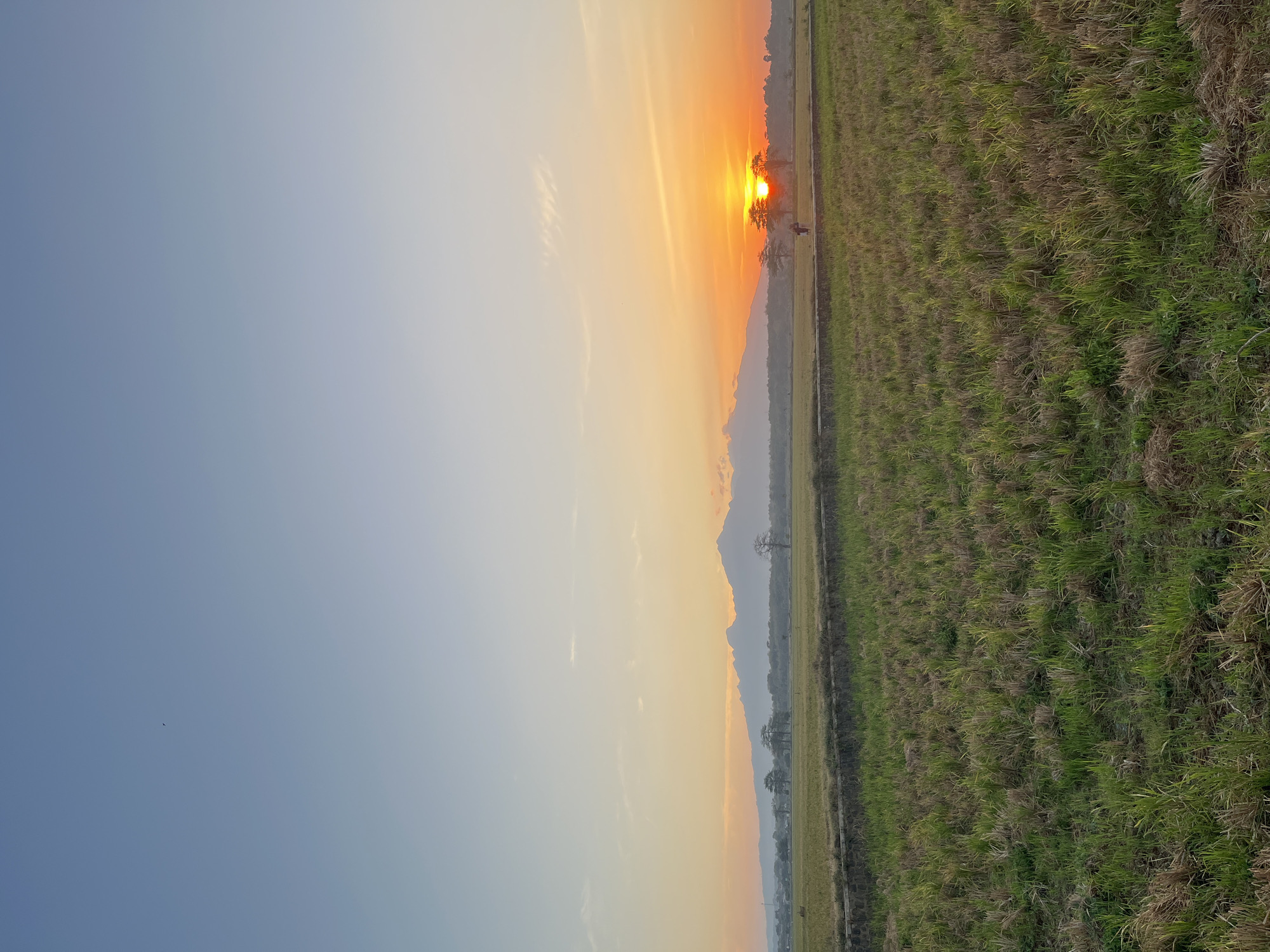 An outdoor, low-angle, full shot captures a rural landscape in Karangrandu, Indonesia, during sunrise. The sky transitions from a pale blue at the top to an orange and yellow gradient near the horizon. A distant mountain range, silhouetted against the bright sky, forms the backdrop. In the middle ground, a field of dry, cut grass runs horizontally, bordered by a stone wall. Beyond the field, two solitary figures are walking on a path, their silhouettes dark against the rising sun. The sun itself is a bright orb, just above the horizon, casting a warm glow on the scene. A few trees are scattered across the landscape, with their branches silhouetted against the sky. A single bird is visible in the upper left portion of the sky.