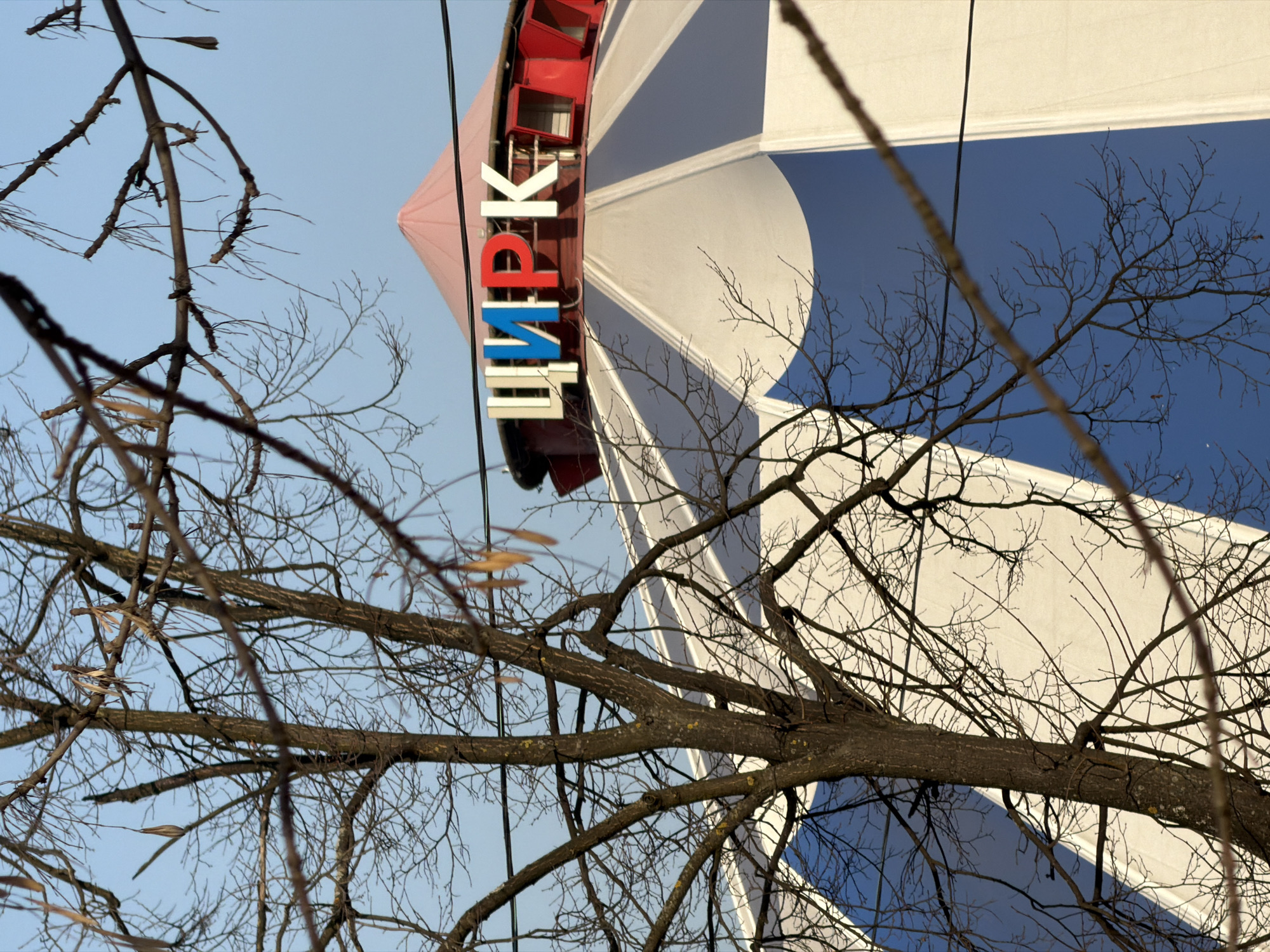 The image depicts the Saint Petersburg Circus, Russia. It shows a view looking up at the building, partially obscured by bare tree branches. The building has a red conical roof with the Cyrillic word "ЦИРК" (Circus) in white, blue, and red letters vertically. The facade is white with blue and white curved sections. The sky is visible in the gaps between the tree branches and the building. The photograph appears to be taken during the fall or winter season, given the absence of leaves on the trees.
