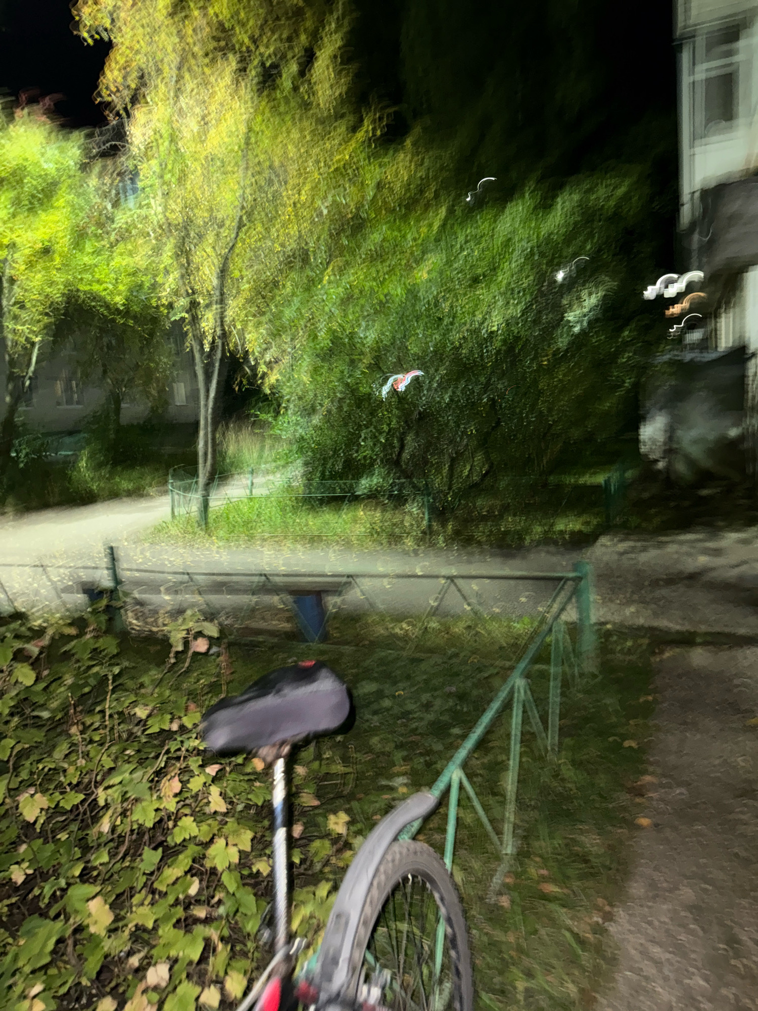 The image depicts an outdoor scene at night, possibly in the city of Zavolzhye, Russia. The foreground shows a portion of a bicycle, including the seat and part of a wheel, positioned near a dense green hedge. A metal railing, painted green, runs diagonally across the middle ground. Beyond the railing, a path or sidewalk is visible, with trees and green foliage bordering it. In the background, there is a building with windows, and the overall impression is one of a residential area or park. The image appears to be captured with motion blur, suggesting movement during the photography. There are some indistinct light streaks in the air, which might be from moving vehicles or other light sources.