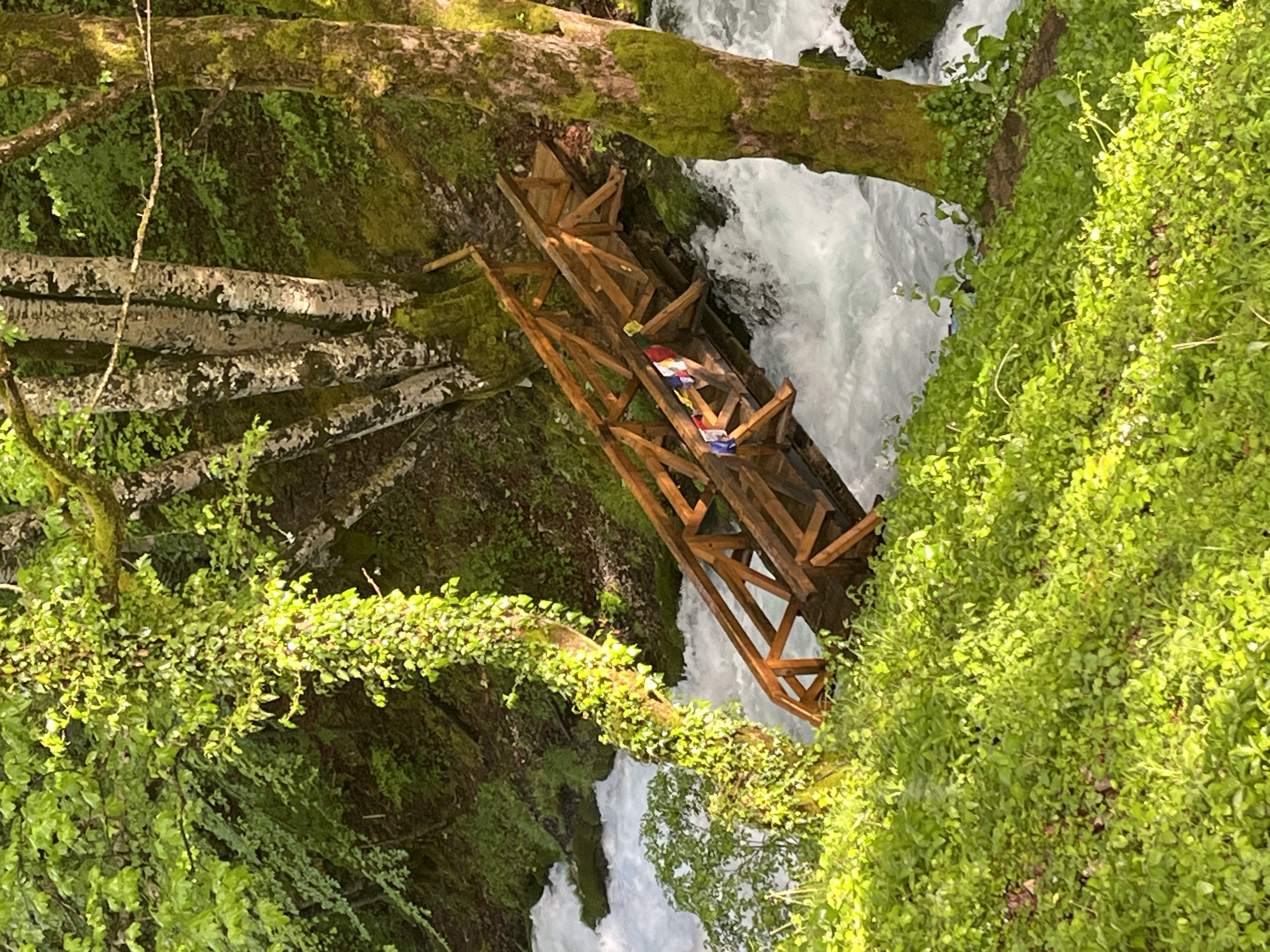 The image shows a wooden structure, likely a bridge or platform, positioned over a rushing stream or river in Crna Poda, Montenegro. The water is fast-flowing and white, indicating a rapid descent. The bridge appears to be constructed from raw timbers. Patches of colored fabric are affixed to the structure. The surrounding environment is lush with green vegetation, including moss-covered trees and thick ground cover.