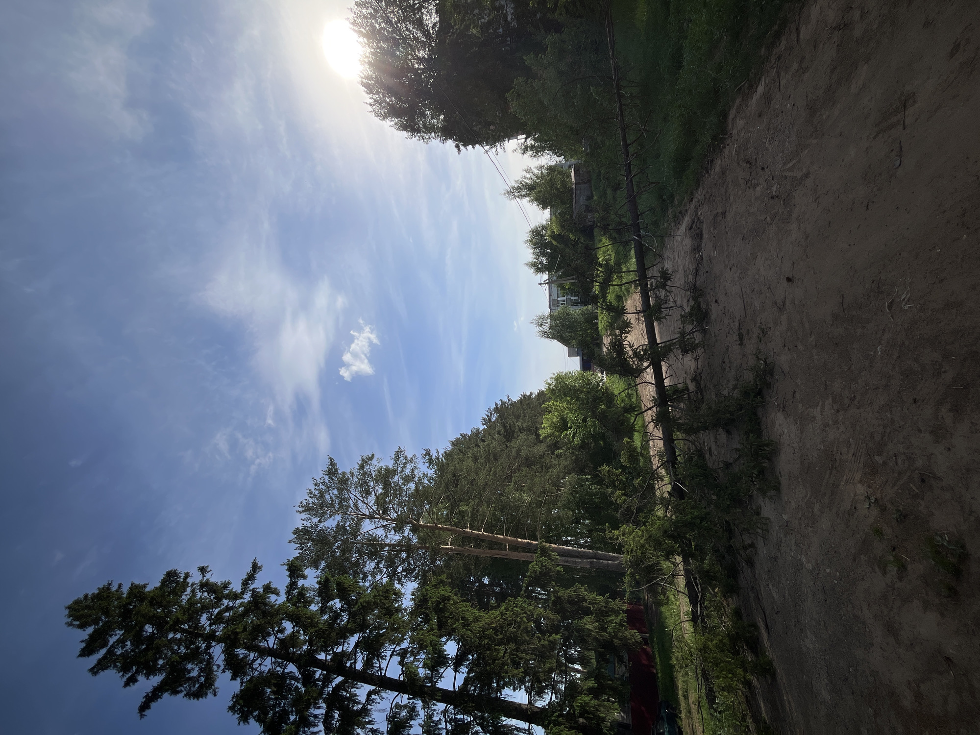 The image shows an outdoor scene, possibly in a rural or semi-rural area. A dirt path runs along the right side of the frame, lined with a rudimentary fence. Trees and vegetation are abundant on both sides of the path. In the distance, there are structures that could be buildings, suggesting a residential area. The sky is visible above the trees, with the sun shining brightly and some clouds present. The scene is potentially located in Chaikovsky, Russia.