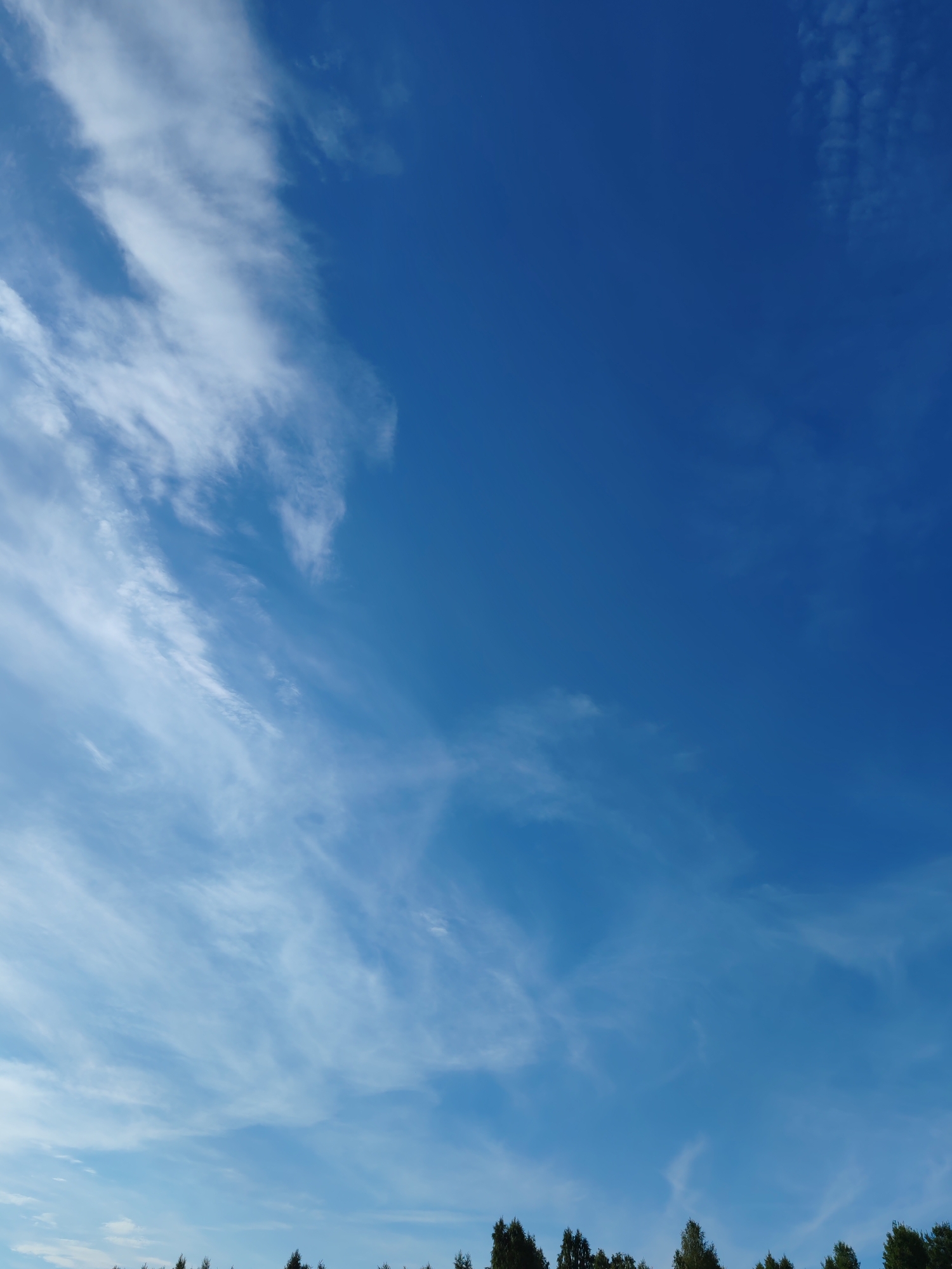 The image shows a vast, clear blue sky with sparse white clouds. The clouds are wispy and streaky, appearing high in the atmosphere. The lower edge of the frame is filled with the tops of dark green coniferous trees, suggesting a natural or semi-rural environment. There are no people or specific man-made structures visible in the image. The lighting indicates daylight, likely during the day. The location is identified as Chukhlem, Russia, implying a subarctic or continental climate.