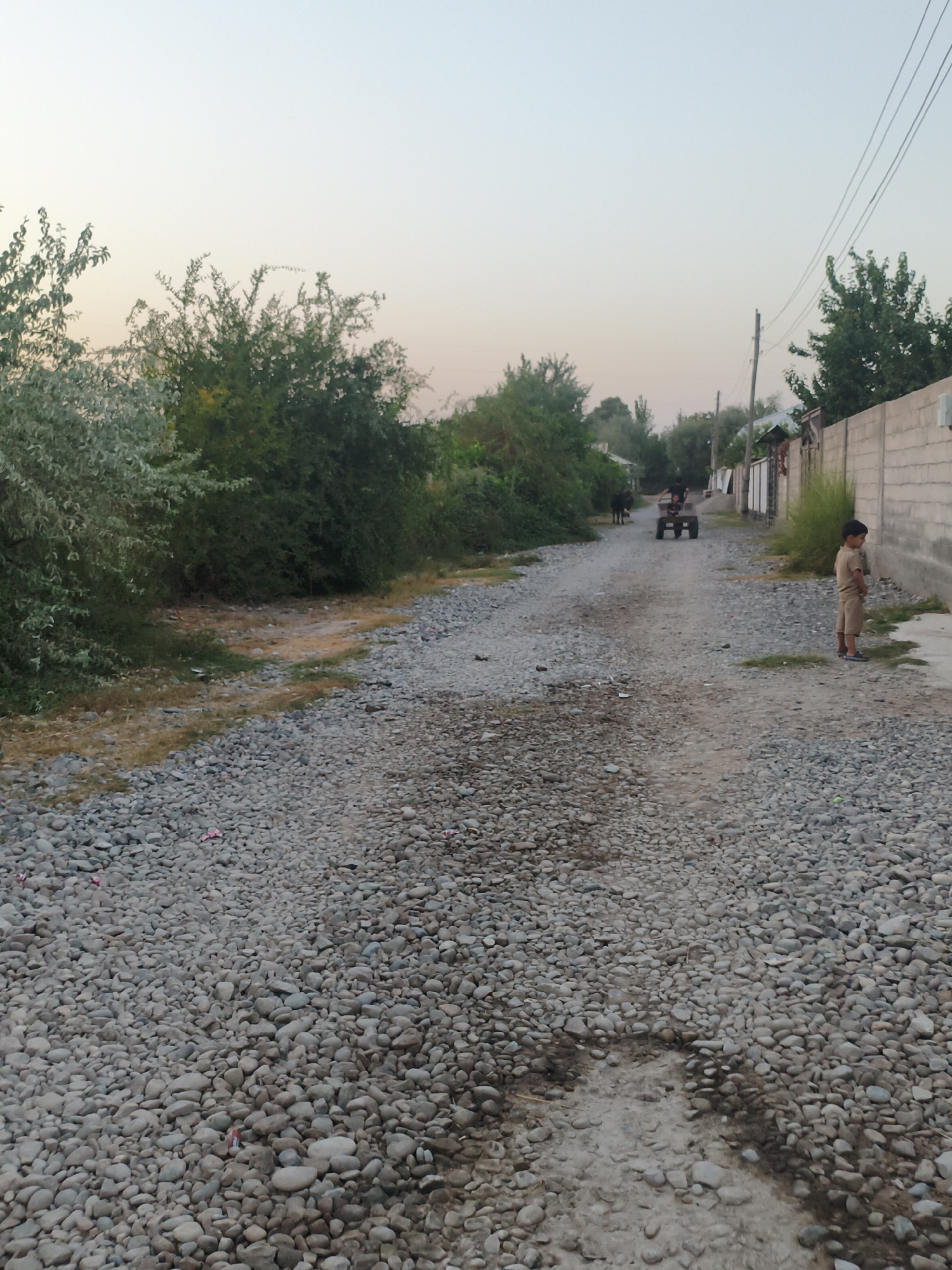 The image depicts a gravel road in Механизатор, Tajikistan, under a pale sky. On the right side of the road, a child in a light brown outfit stands facing away from the camera, looking towards a grey concrete wall. Further down the road, a cart is being pulled by a person or persons, with a dark animal, possibly a cow, walking in front of it. The road is lined with lush green trees and bushes on the left, and the concrete wall and some buildings are visible on the right. The ground is covered in small, grey stones.