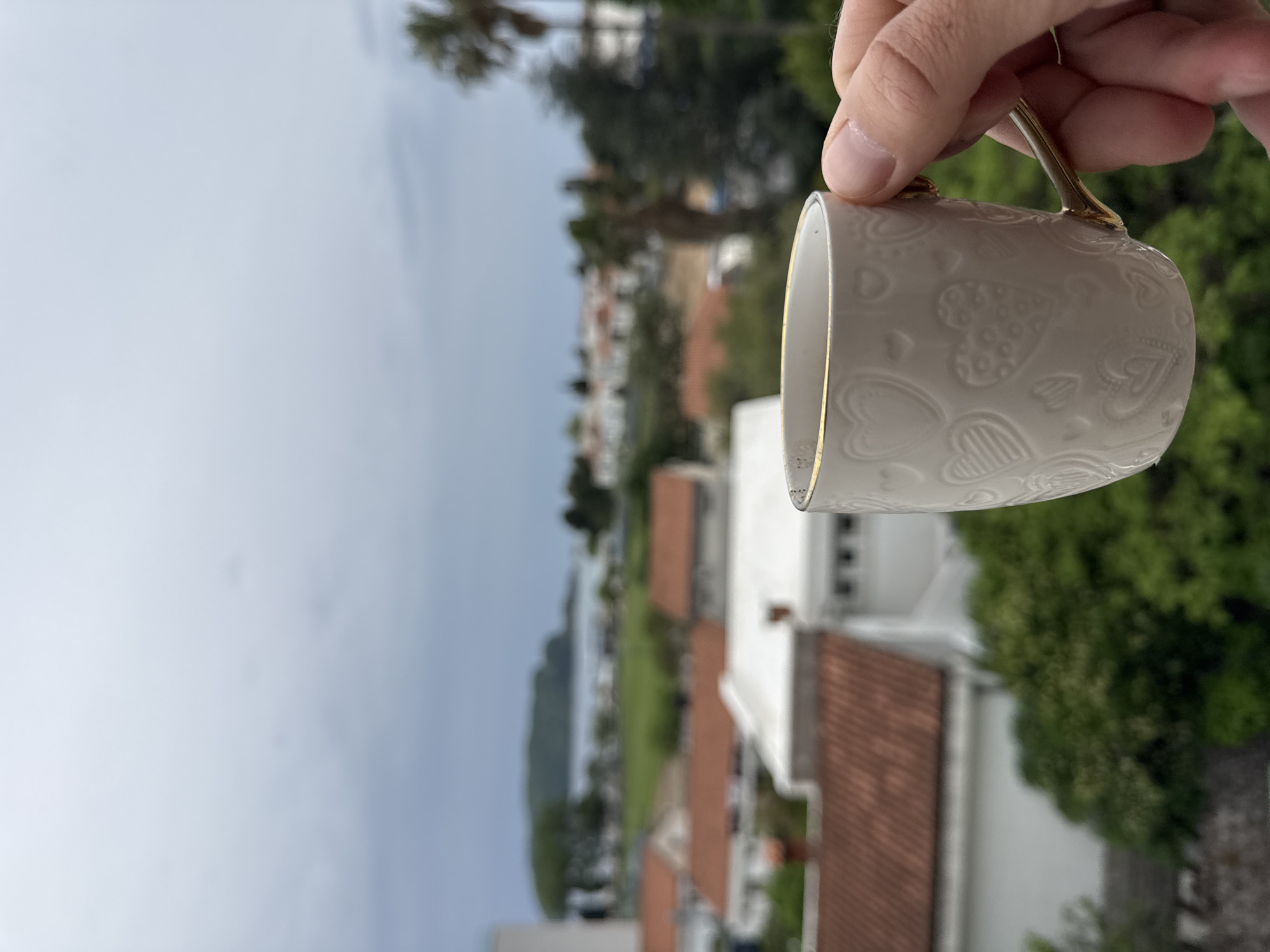 A hand holds a decorative white teacup with a gold rim and handle against a blurred background. The cup features embossed heart designs. In the background, a cityscape is visible, including buildings with red-tiled roofs and white walls, interspersed with green trees. A distant body of water and overcast sky complete the scene. Based on the architecture and landscape, it is likely in Budva, Montenegro.