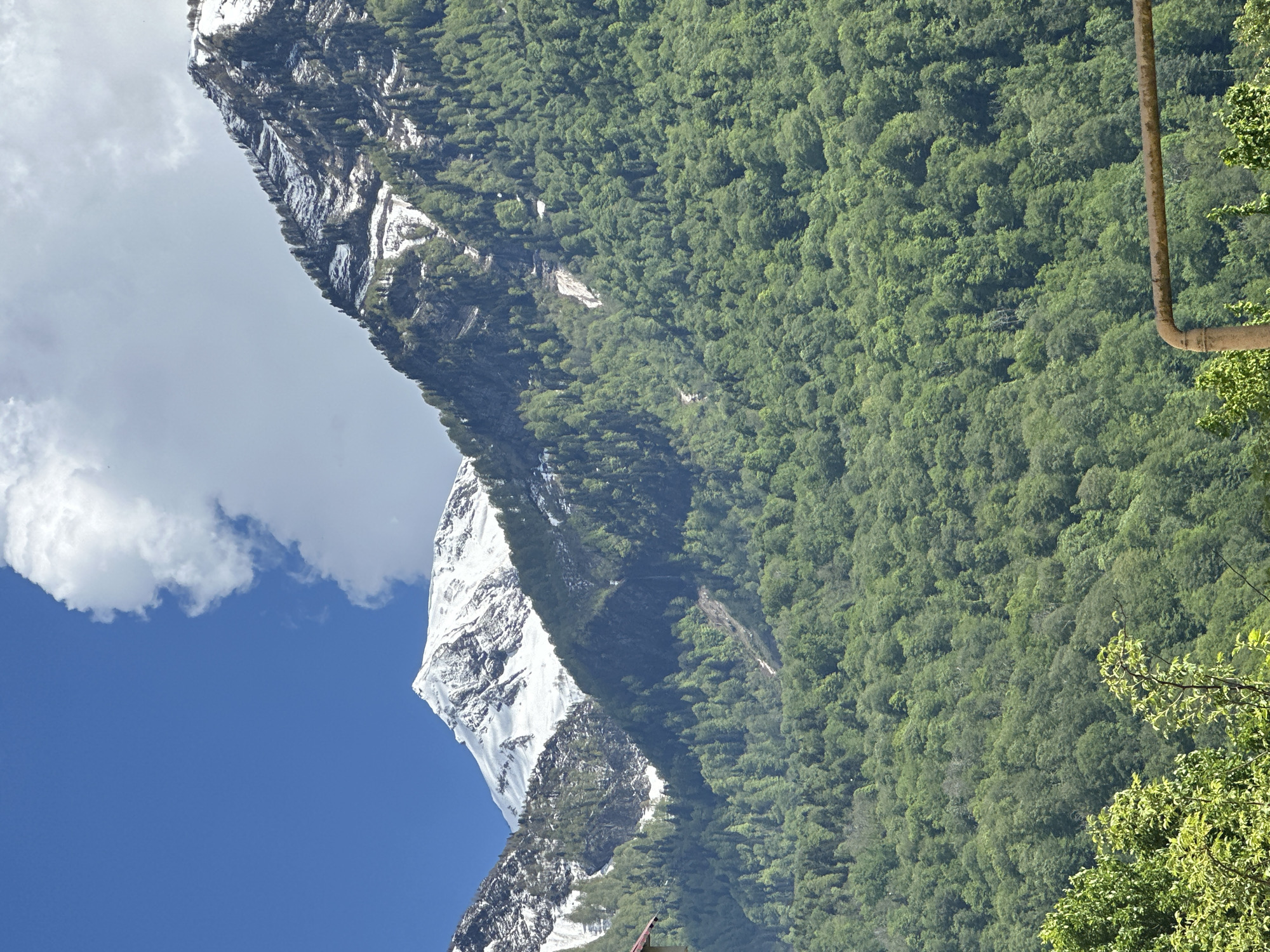 This image presents a stunning mountainous landscape, likely in Krasnaya Polyana, Russia, as indicated by the context. The scene is dominated by a majestic, snow-capped mountain peak on the left side of the frame, its white slopes starkly contrasting with the clear blue sky and dark rocky outcrops. Below the snow line, patches of green vegetation are visible clinging to the mountain's rugged terrain.
Extending from the lower slopes of the snow-capped mountain and covering the entire right side of the image is a vast, dense forest. The trees display various shades of green, indicating a lush and healthy ecosystem. The forest continues into the middle ground, creating a rich tapestry of natural foliage.
The sky in the upper left quadrant is a brilliant, clear blue, gradually transitioning to partly cloudy further up, with soft, white cumulus clouds adding depth to the upper left portion of the scene. The lighting suggests it is daytime, likely morning or early afternoon, given the bright, even illumination across the landscape and the absence of harsh shadows. The weather appears clear and pleasant.
A distinct man-made element, a thick, rusty brown pipe, is visible in the upper right corner, running diagonally downwards and partially obscured by the foreground foliage. No people or animals are visible, emphasizing the natural grandeur and tranquility of the mountain and forest environment. There is no visible text in the image.