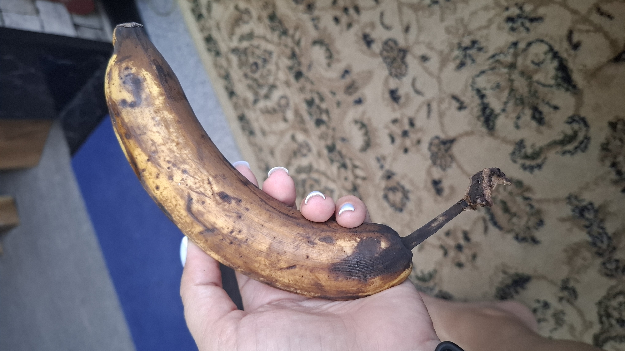 A person's hand with manicured fingernails is holding a severely overripe banana. The banana's peel is mostly brown with black spots and bruised areas. The stem of the banana is broken and appears to be decomposing. The background consists of a patterned carpet and a blue mat. The setting is likely indoors, possibly a residence, in the city of Shymkent, Kazakhstan. No other individuals or specific environmental features are discernible to pinpoint a precise location within the city.