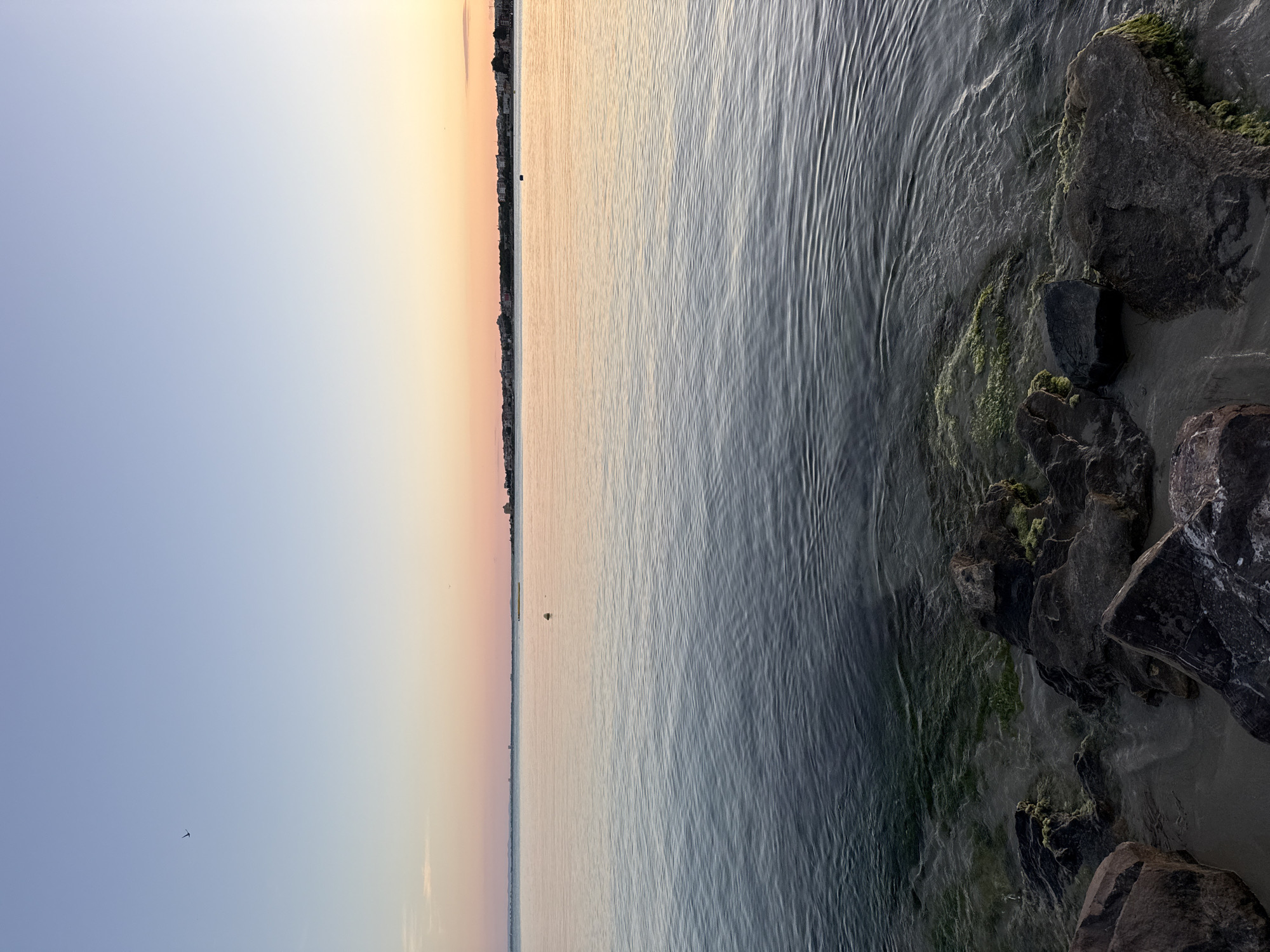 The image depicts a serene coastal scene at what appears to be sunset or sunrise, featuring the Black Sea. In the foreground, dark, rough-textured rocks are partially submerged in clear water, with patches of green algae clinging to some surfaces. The water is calm, with gentle ripples and a transition in color from deep blue-green near the shore to a lighter, reflective hue further out.
In the middle ground, the sea stretches towards a distant shoreline. A few small buoys or markers are visible on the water's surface. The horizon is lined with the silhouette of a city, characterized by low-rise buildings and trees, suggesting an urban or semi-urban coastal settlement.
The sky above is a gradient of soft colors, transitioning from a pale blue at the top to warm hues of pink, peach, and orange near the horizon, indicative of twilight. A single bird is captured in flight in the upper left quadrant of the sky.
This scene is consistent with the coastal areas of Nesebar, Bulgaria, a historic town situated on the Black Sea coast. The combination of the sea, rocky shoreline, and the distant urban silhouette is characteristic of this region. There are no people or specific actions depicted; the focus is on the natural environment and the tranquil atmosphere of the coastal landscape.