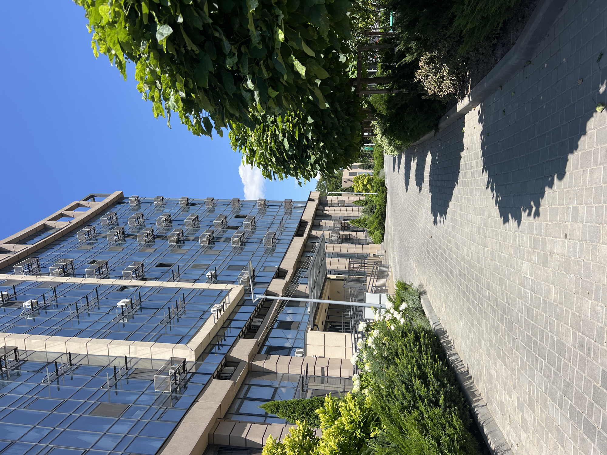 The image captures a modern apartment building with a glass facade, featuring numerous air conditioning units mounted on the exterior. The building is situated on a paved walkway lined with lush green bushes and trees, some of which cast distinct shadows on the ground. The sky is a clear, bright blue. In the foreground, the walkway is made of grey interlocking pavers. To the left of the walkway, a neatly trimmed evergreen hedge borders a patch of white flowers and a cypress tree. The building entrance is visible on the left, with a ramp and stairs leading up. The scene appears to be an exterior view of a residential complex or commercial building in Fontanka, Ukraine, under bright daylight conditions.