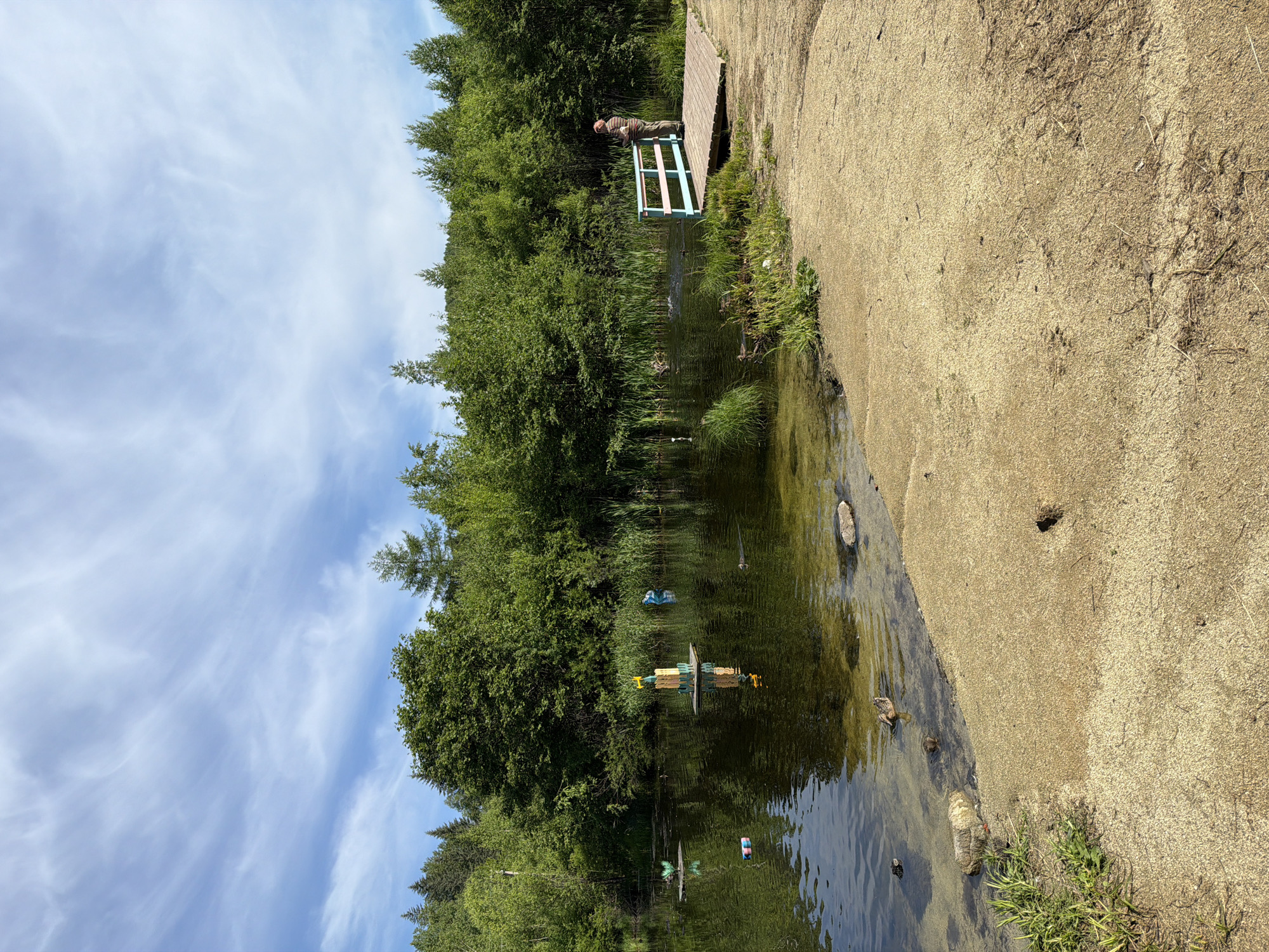In the city of Kul'dur, Russia, a serene outdoor scene unfolds by a body of water. The water's surface is calm, reflecting the lush green trees that densely line the background and the expansive blue sky above, which is adorned with wispy white clouds. In the foreground, a sandy bank slopes gently down to the water's edge. A wooden deck with a light blue and pink railing juts out over the water on the right side of the image. A man, wearing a striped shirt and pants, stands on the deck, appearing to observe the water. Scattered across the lake are several colorful, man-made structures, likely decorative elements, with one prominently featuring yellow and green pieces. A few ducks are visible in the water, with one swimming near the sandy bank and another near the decorative structures. The overall atmosphere is peaceful and natural, suggesting a park or a recreational area.