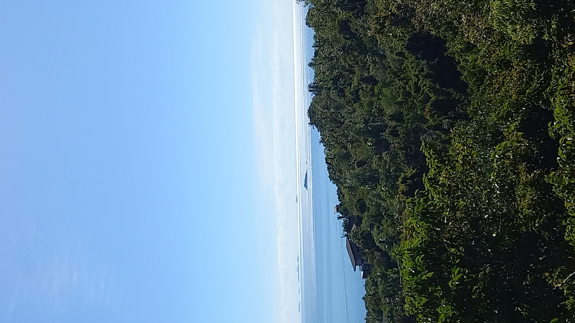 The image shows a serene view of the ocean and a lush, green hillside. The sky is a clear, bright blue, suggesting a sunny day. The ocean stretches out to the horizon, meeting the sky in a soft, hazy line. Several small boats are visible on the water, hinting at a leisurely pace of life.
The right side of the image is dominated by dense, vibrant green foliage, indicating a tropical environment. The trees are thick and appear to be native to the region. There are glimpses of structures built into the hillside, possibly resorts or private homes, with rooftops visible through the trees. These structures suggest human habitation and the presence of tourism in the area.
The overall scene evokes a sense of tranquility and natural beauty. The clear sky and calm water suggest pleasant weather, ideal for outdoor activities or simply relaxing and enjoying the view. The location, identified as Koh Phangan, Thailand, is known for its beautiful beaches and natural landscapes, which are well-represented in this image. No text is visible in the image.