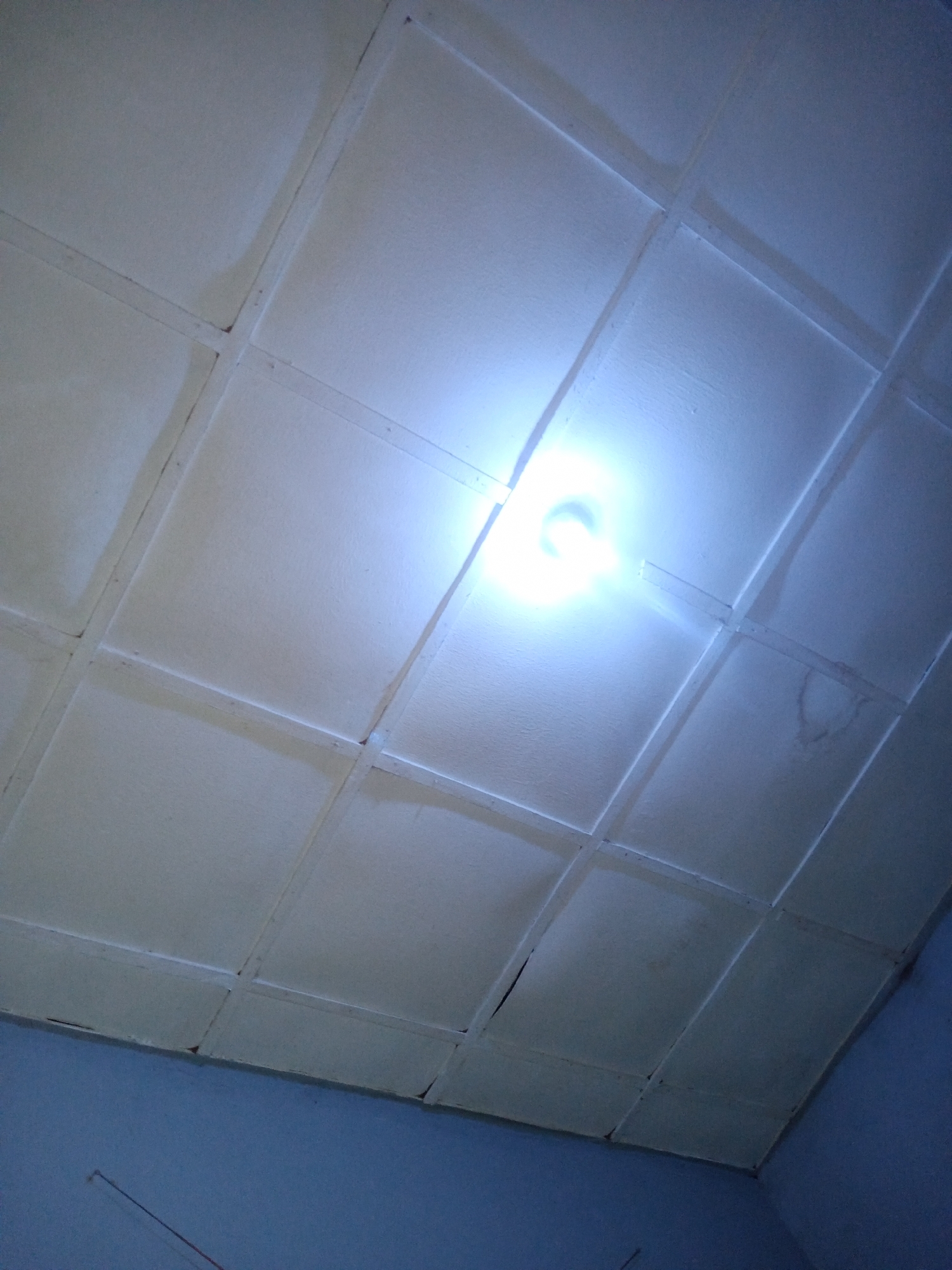 This is a low-angle, close-up, indoor photograph of a white, tiled ceiling with a bright light source in the center. The ceiling is divided into a grid pattern by thin, darker lines, possibly indicating seams between tiles or supporting structures. The light source is intensely bright, creating a bloom of light that washes out detail in its immediate vicinity. Subtle variations in the ceiling's surface suggest texture and perhaps minor imperfections or stains. The edges of the ceiling are visible, meeting a blue-painted wall. The scene is devoid of people, specific objects, or any identifiable actions, suggesting it is a still, architectural detail. The image lacks any explicit geographical markers to confirm its location in Jalingo, Nigeria.