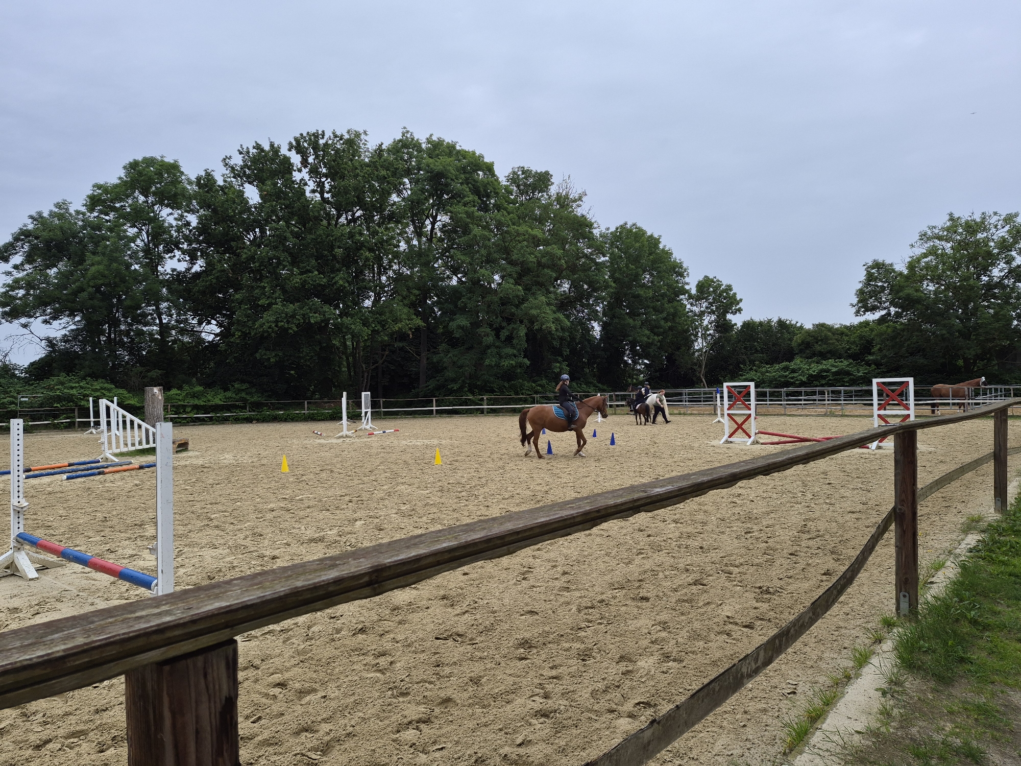 The image depicts an outdoor equestrian arena with a sand surface, located in Brunswick, Germany. The arena features several jumps, including a set of standards with colorful poles, and two red and white decorative jumps. Several people are present, each riding a horse. One rider is on a brown horse in the center of the frame, while two other riders on lighter colored horses are further in the background to the right. The environment is surrounded by a wooden fence and lush green trees form a backdrop. The sky is overcast. The overall scene suggests a training session or casual riding activity.