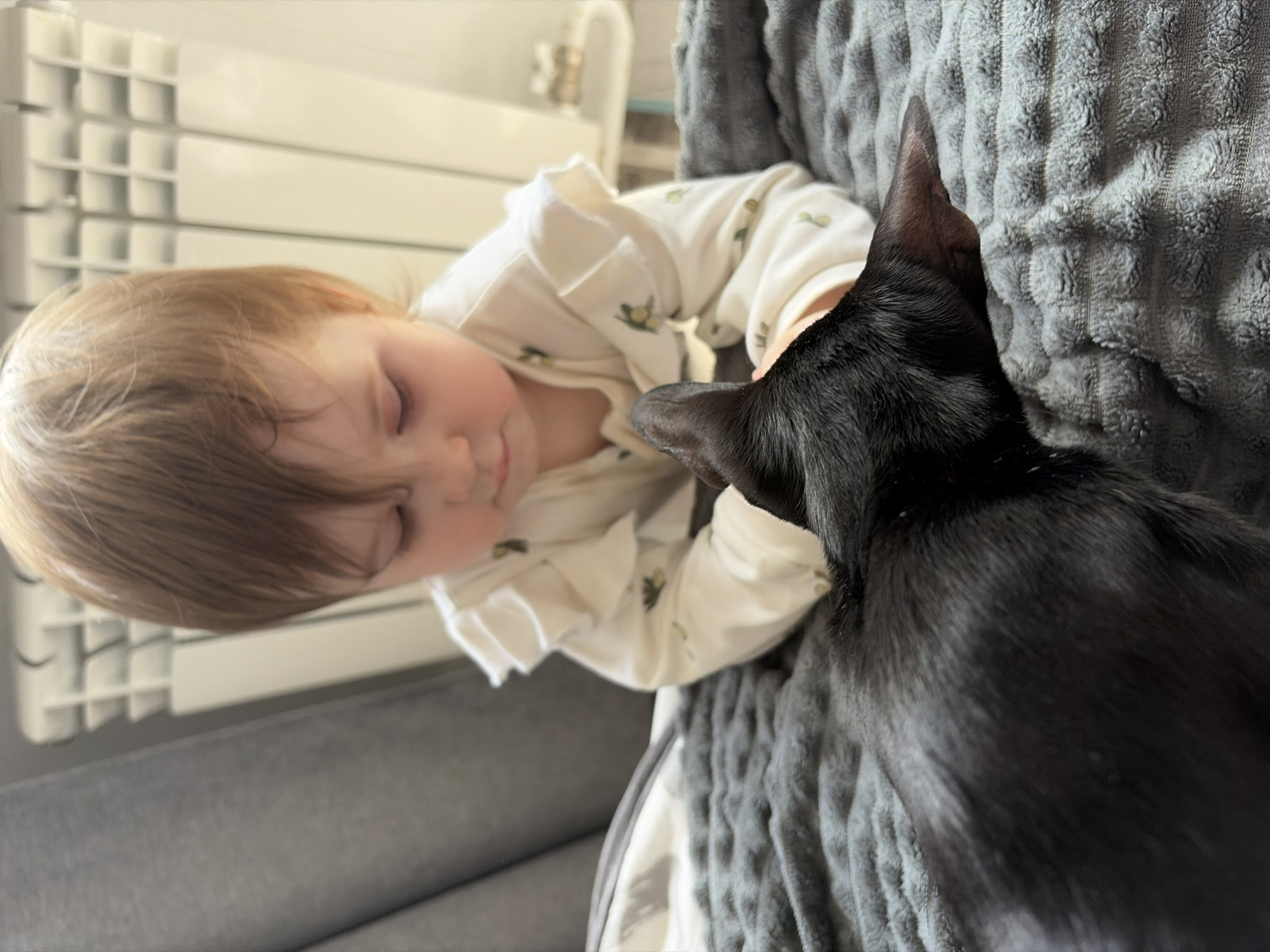 A top-down shot shows a child, likely female, with light brown hair, wearing a white long-sleeved shirt with a pattern, sleeping on a gray textured blanket. A black cat sits beside the child, its back to the camera. The scene is likely indoors, next to a white radiator and a gray sofa. The location is Chaikovsky, Russia.