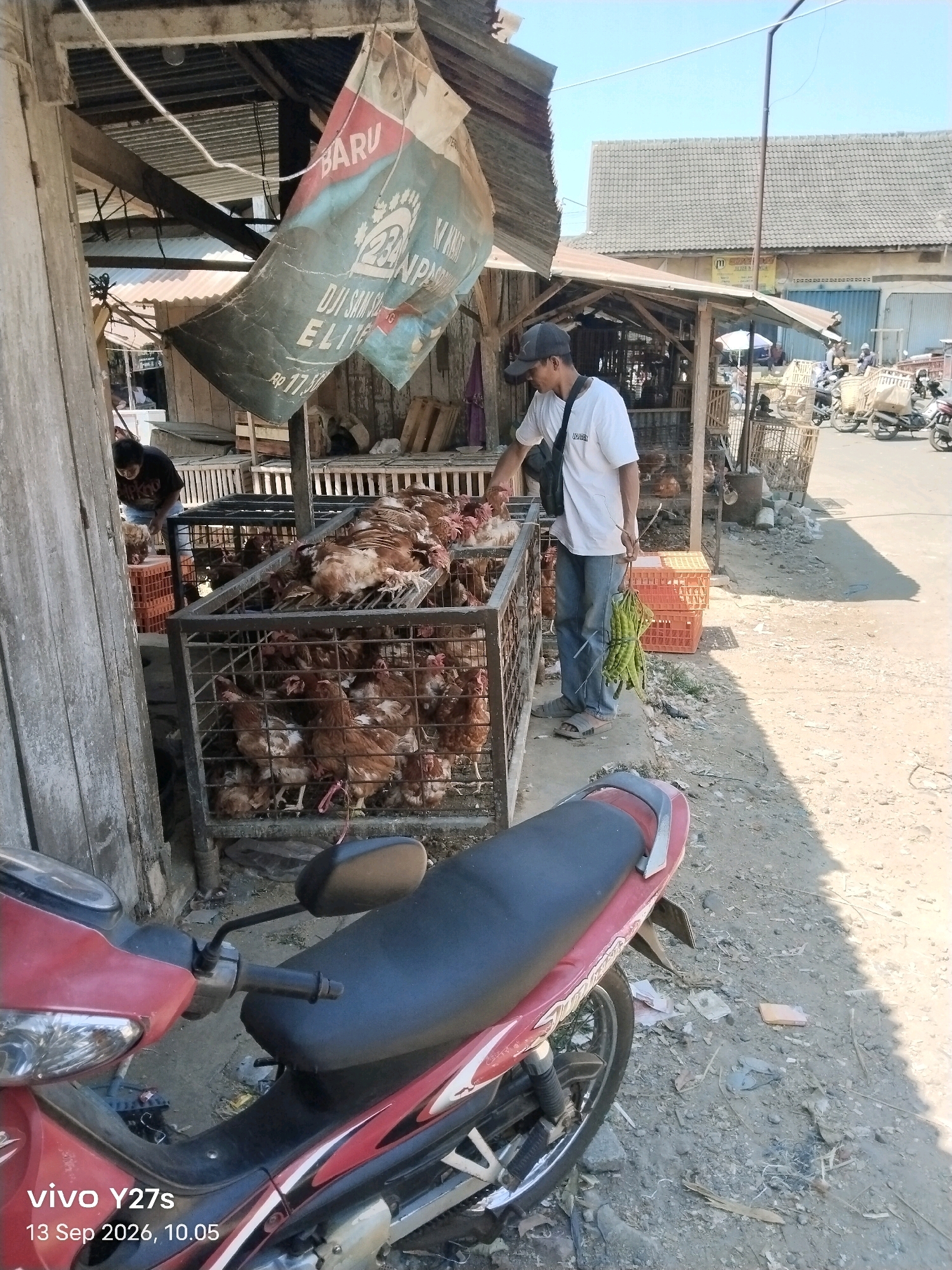 A man wearing a white t-shirt, blue jeans, and a grey baseball cap is standing next to a metal cage full of chickens in an outdoor market in Wonosido, Indonesia. He is holding a bunch of green vegetables. The market appears to be on a dusty road with some corrugated metal structures and a red motorcycle in the foreground. The sky is clear and blue.