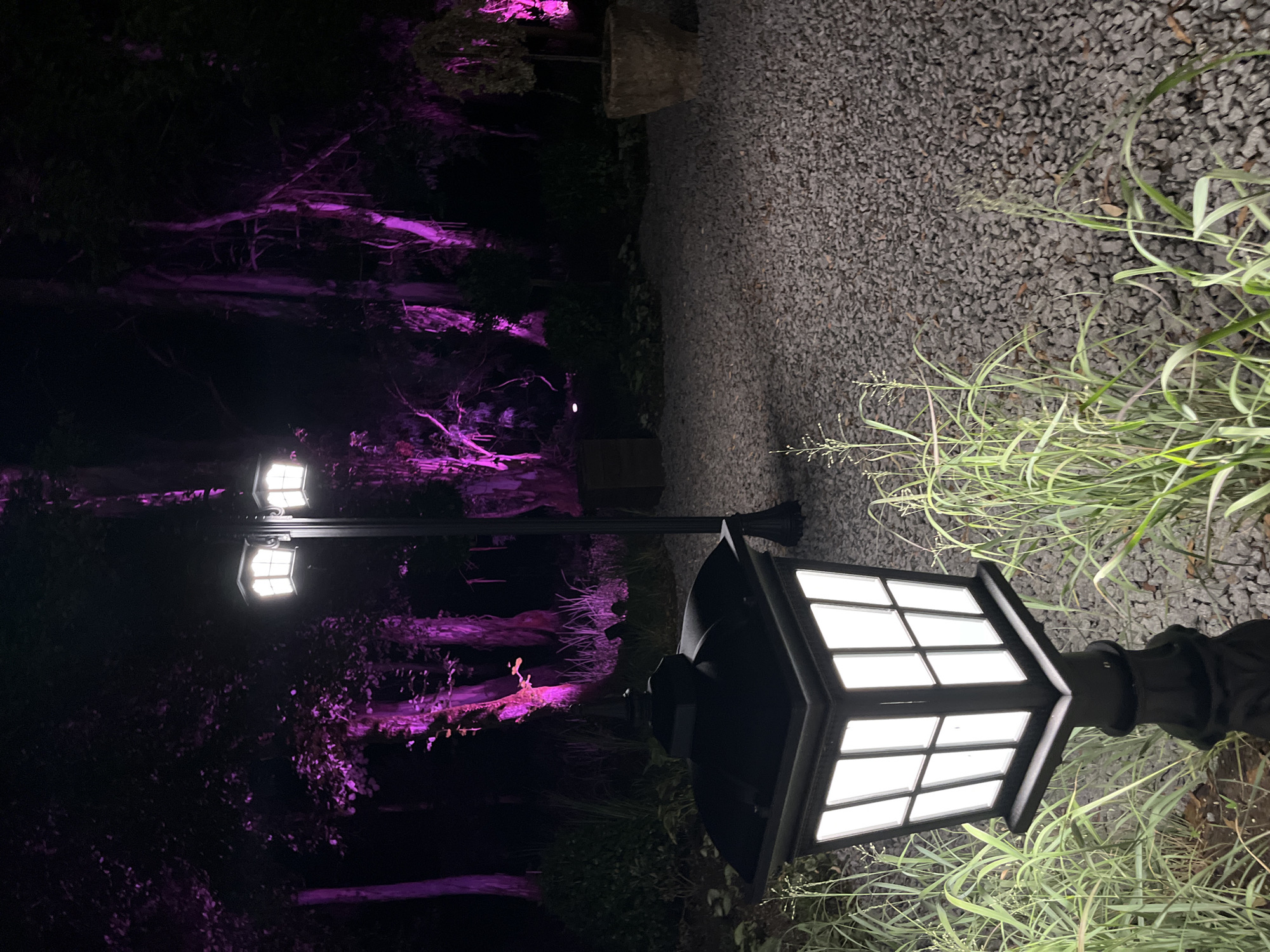 In the city of Shekvetili, Georgia, this nighttime scene captures a garden pathway illuminated by a vintage-style lamp in the foreground. The lamp, made of dark metal with clear glass panels, emits a bright white light. Beyond this, a multi-headed lamppost also glows with white light. The background is dominated by trees, their trunks and foliage bathed in a vibrant purple light. The ground is covered in small, grey gravel, with tall green grasses growing along the edges of the path. The overall ambiance is serene and mysterious, with the contrasting purple and white lights creating a dramatic effect against the dark night sky.