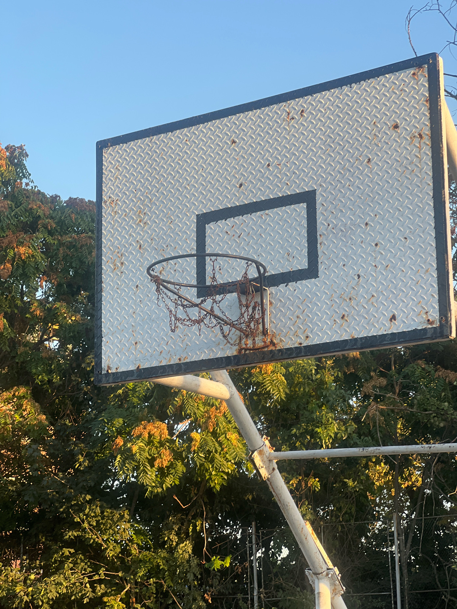 The image shows a weathered basketball hoop and backboard set against a clear blue sky and lush green trees. The backboard is made of diamond plate metal and shows signs of rust. The net is made of chains, also rusted. The support structure for the hoop is also metal and appears aged and worn. The scene suggests an outdoor basketball court, possibly in a park or recreational area. The presence of mature trees implies a natural or semi-natural environment within a city. Given that this image is from Plovdiv, Bulgaria, it likely depicts a public space where sports facilities are available. The lighting suggests it is daytime, possibly late afternoon given the warm tones on the leaves. There are no people visible in the image. The overall impression is one of a well-used but aging piece of sports equipment in a somewhat overgrown setting.